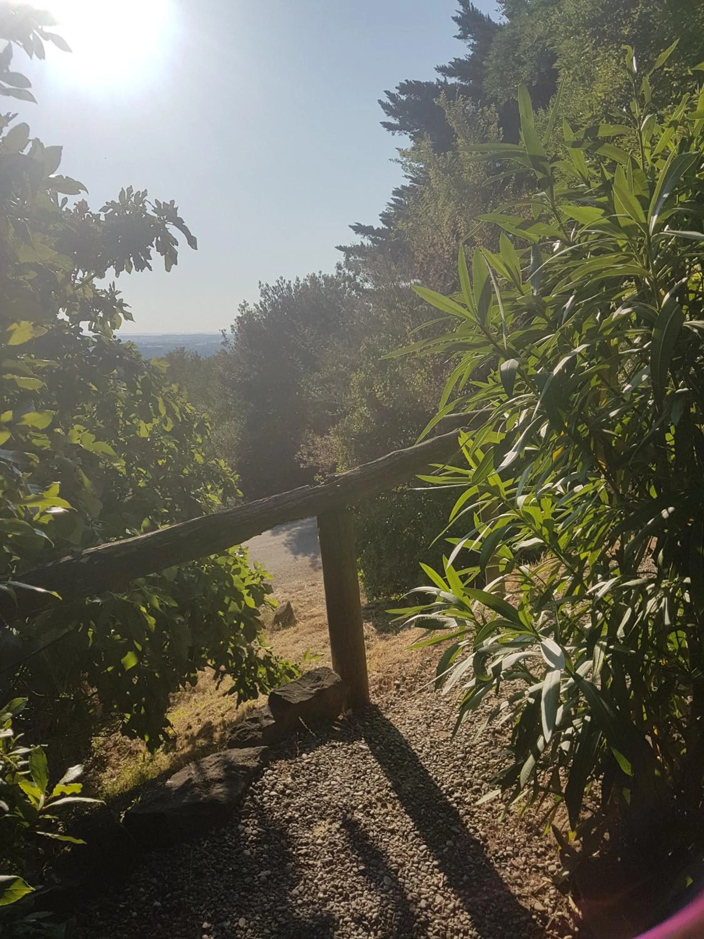 La Maison sur la Colline