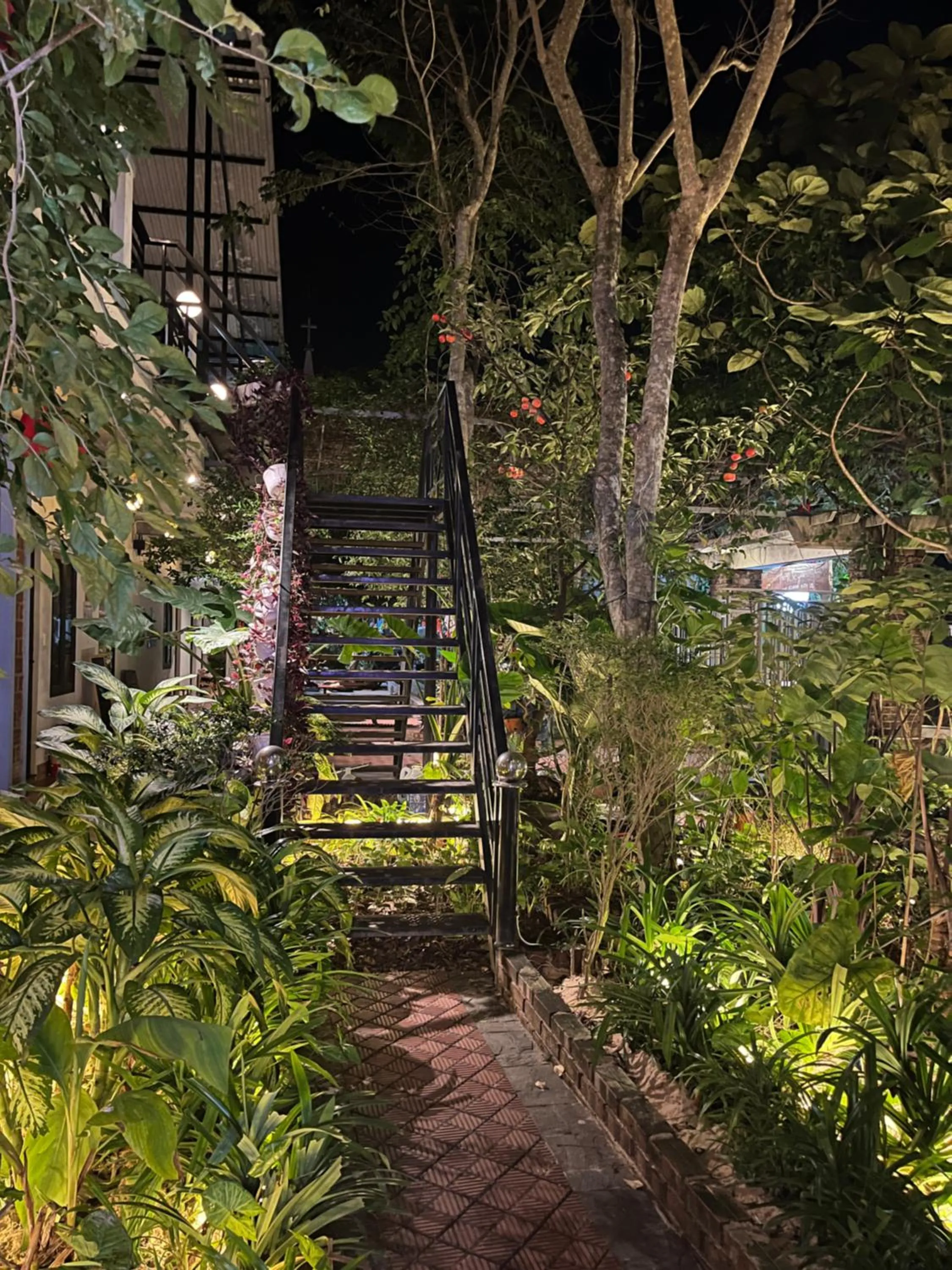 Garden in Phong Nha An An Homestay