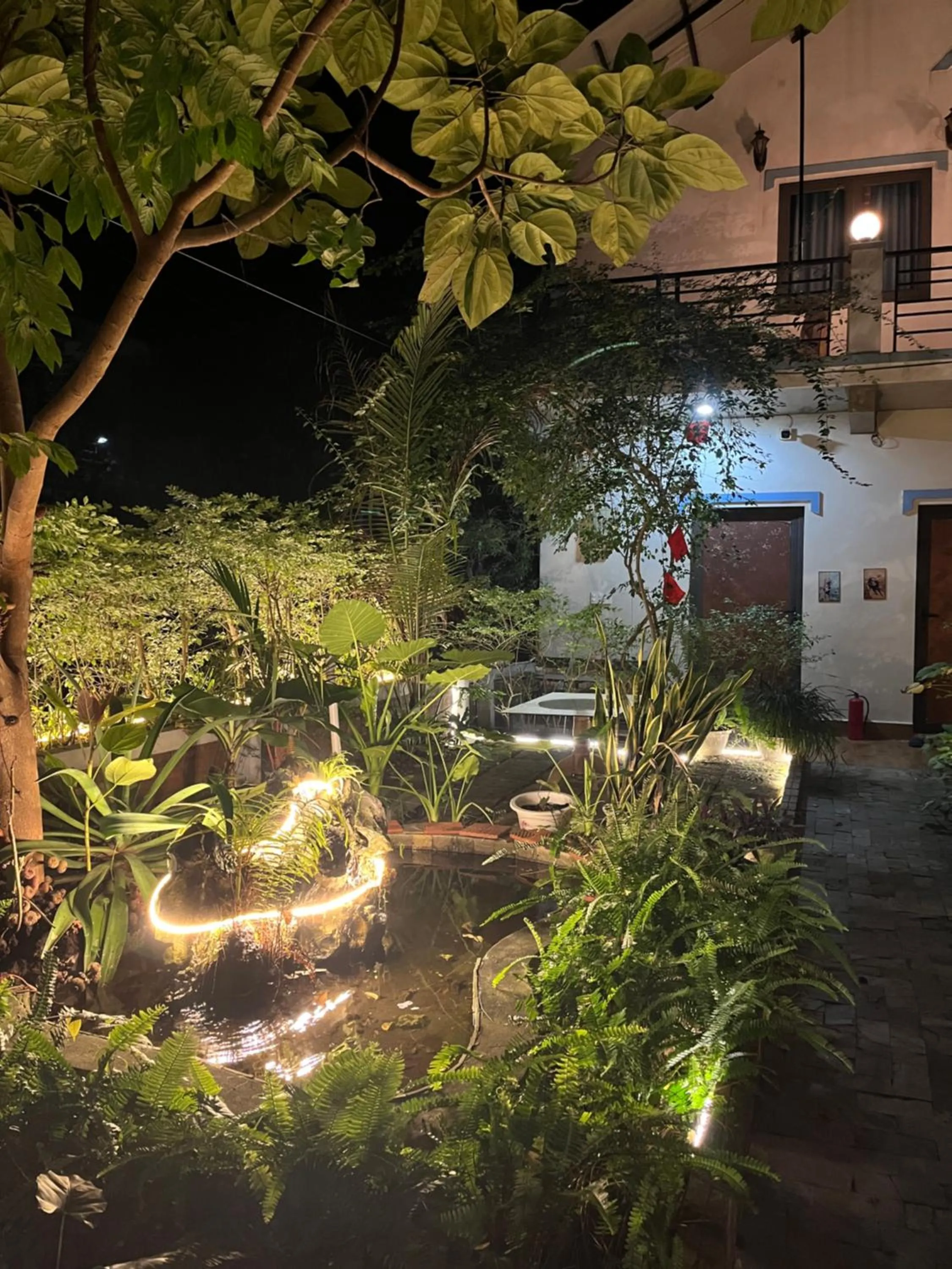 Garden in Phong Nha An An Homestay