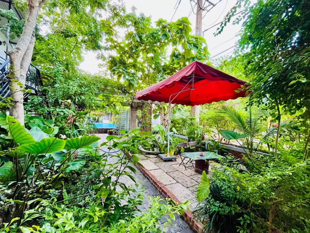 Spring in Phong Nha An An Homestay