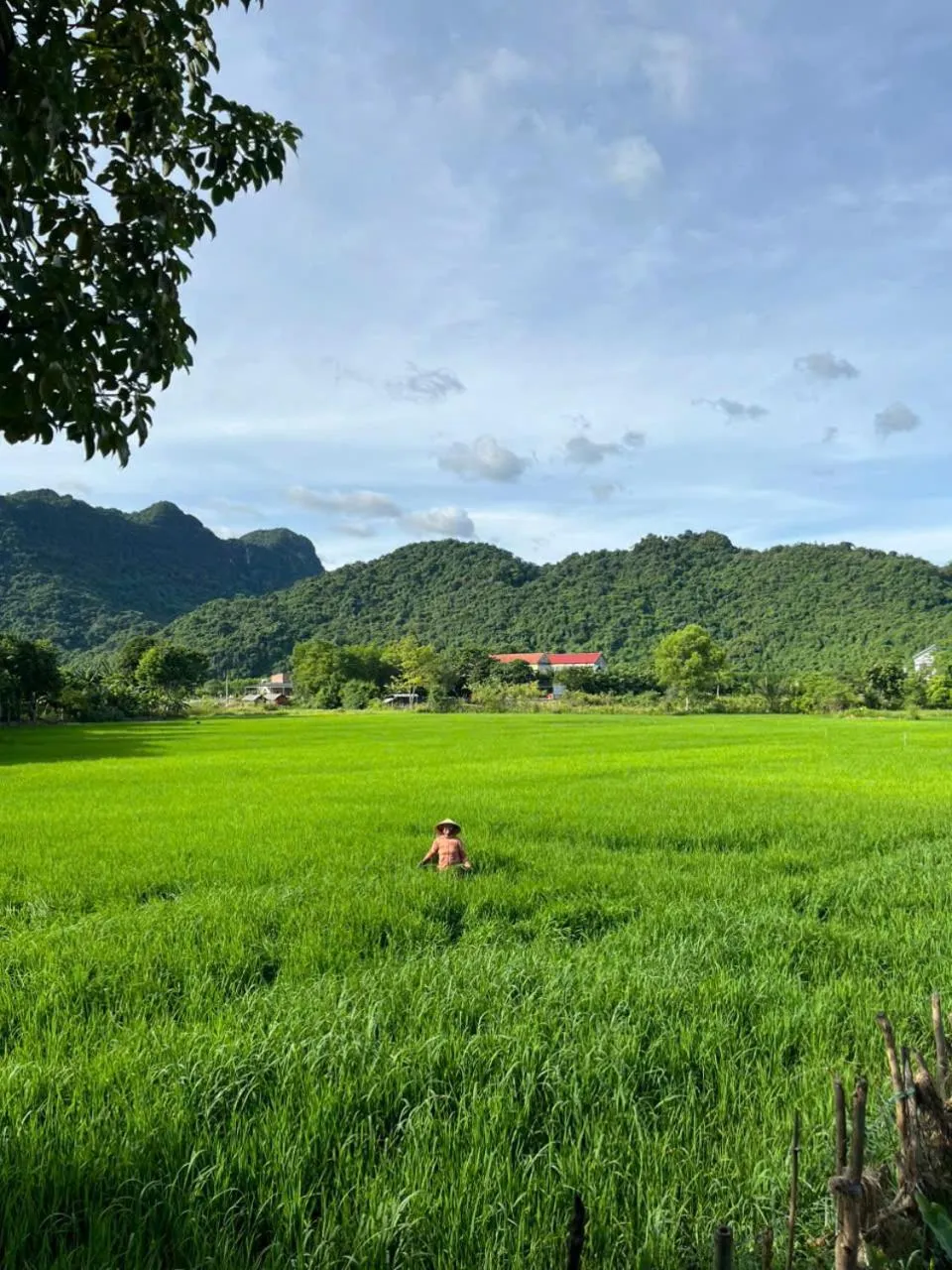 Mountain view in Phong Nha An An Homestay