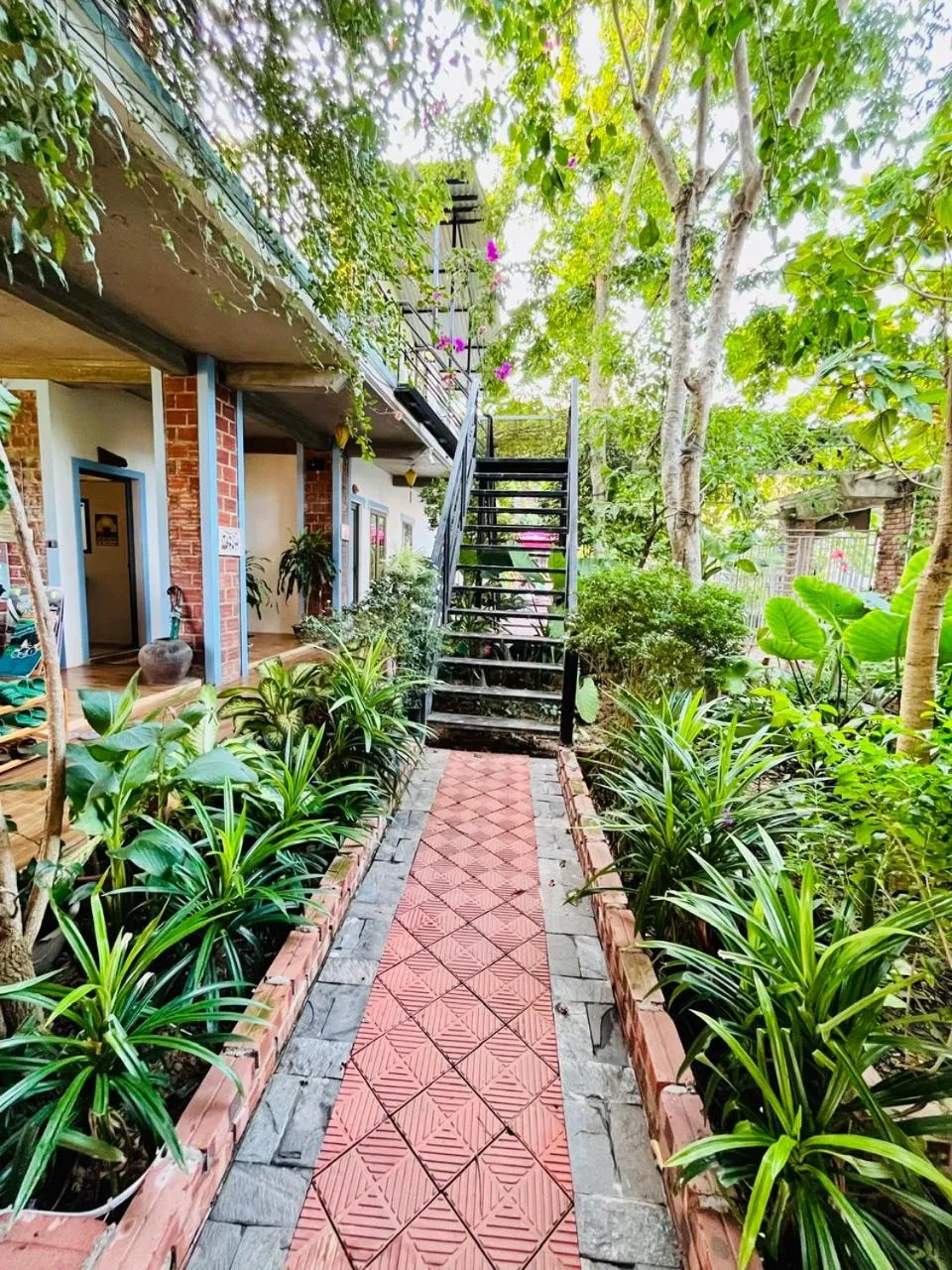 Garden in Phong Nha An An Homestay