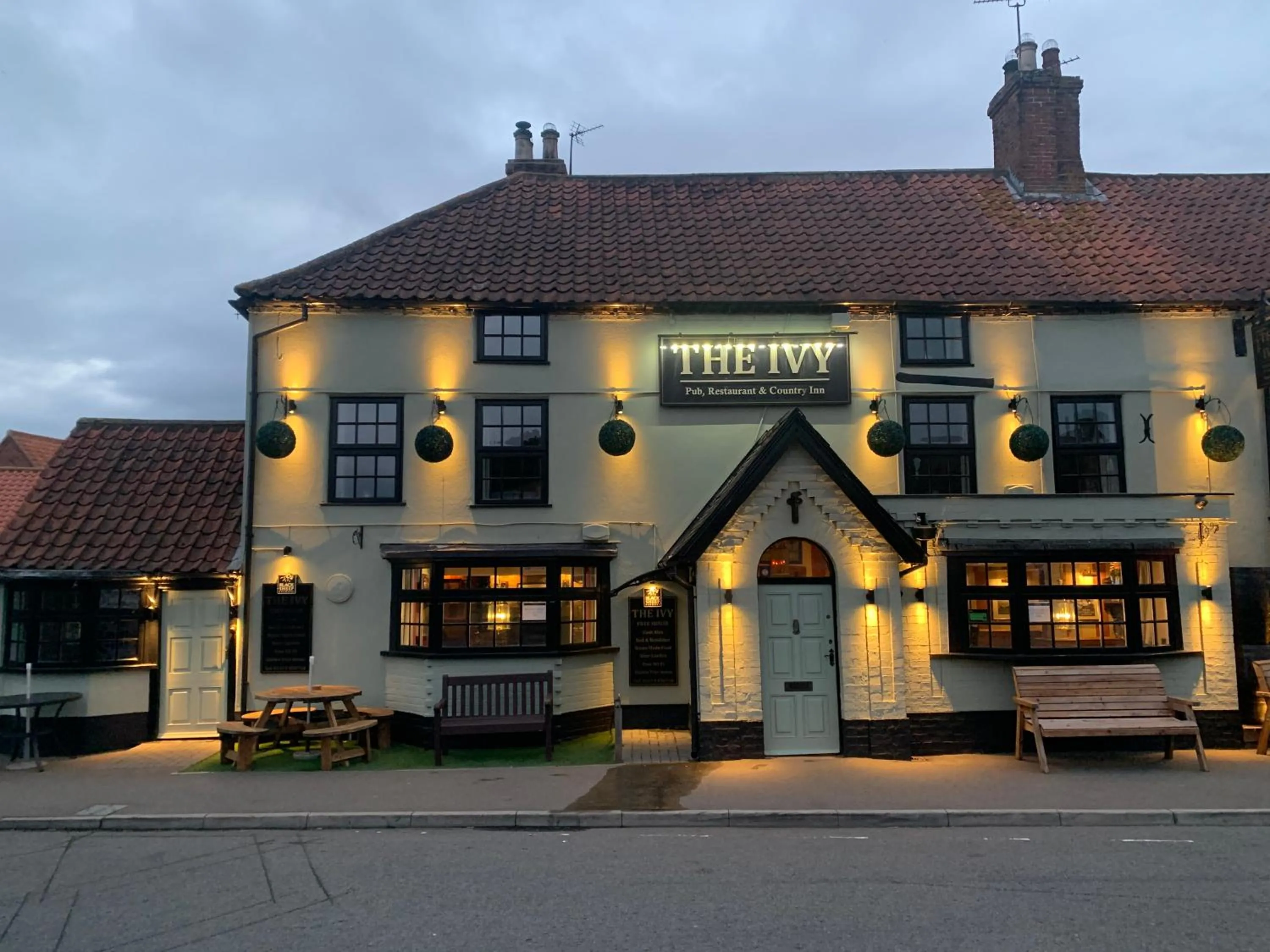 The Ivy