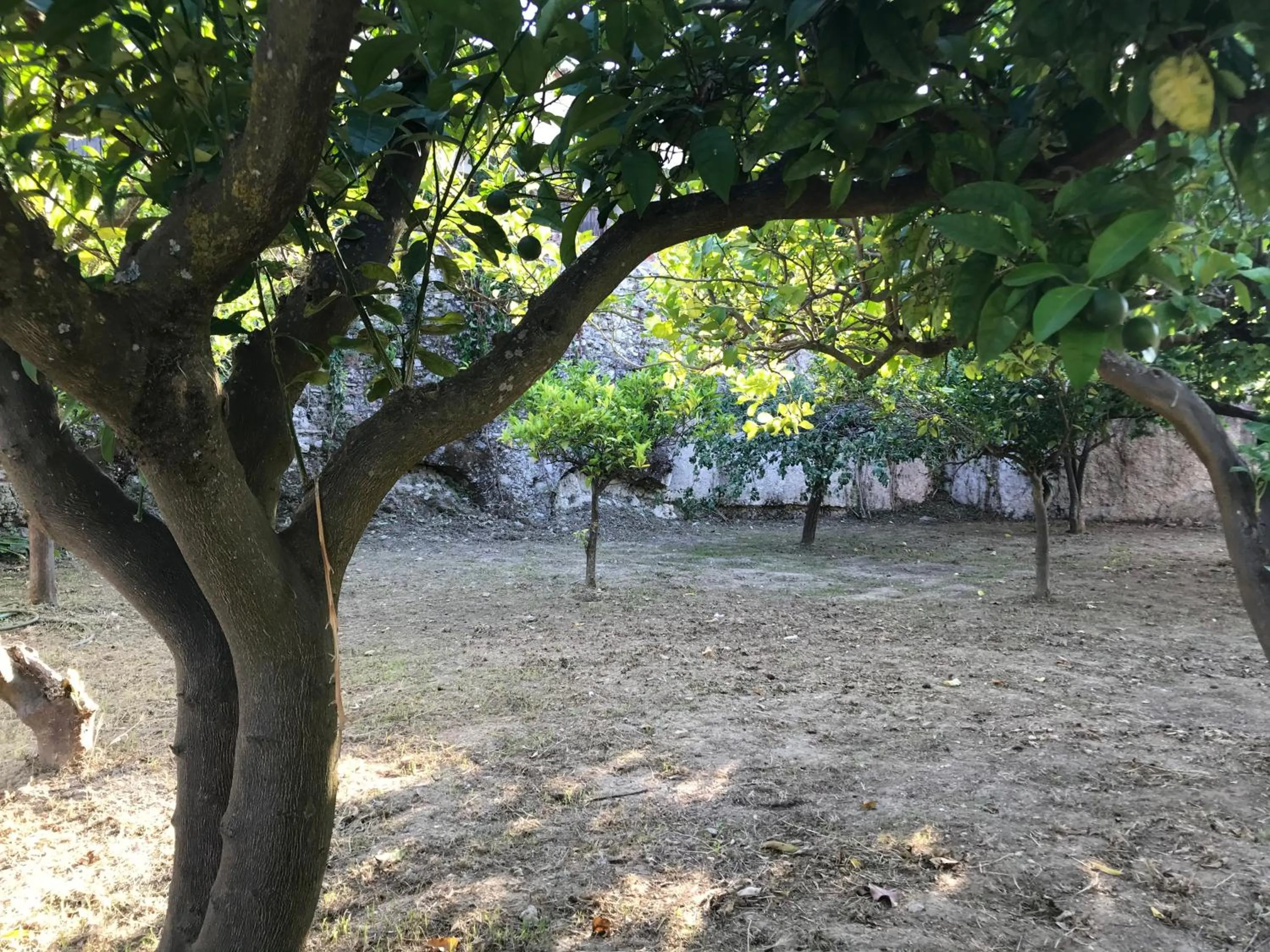 Garden in Casa Vacanza I principini