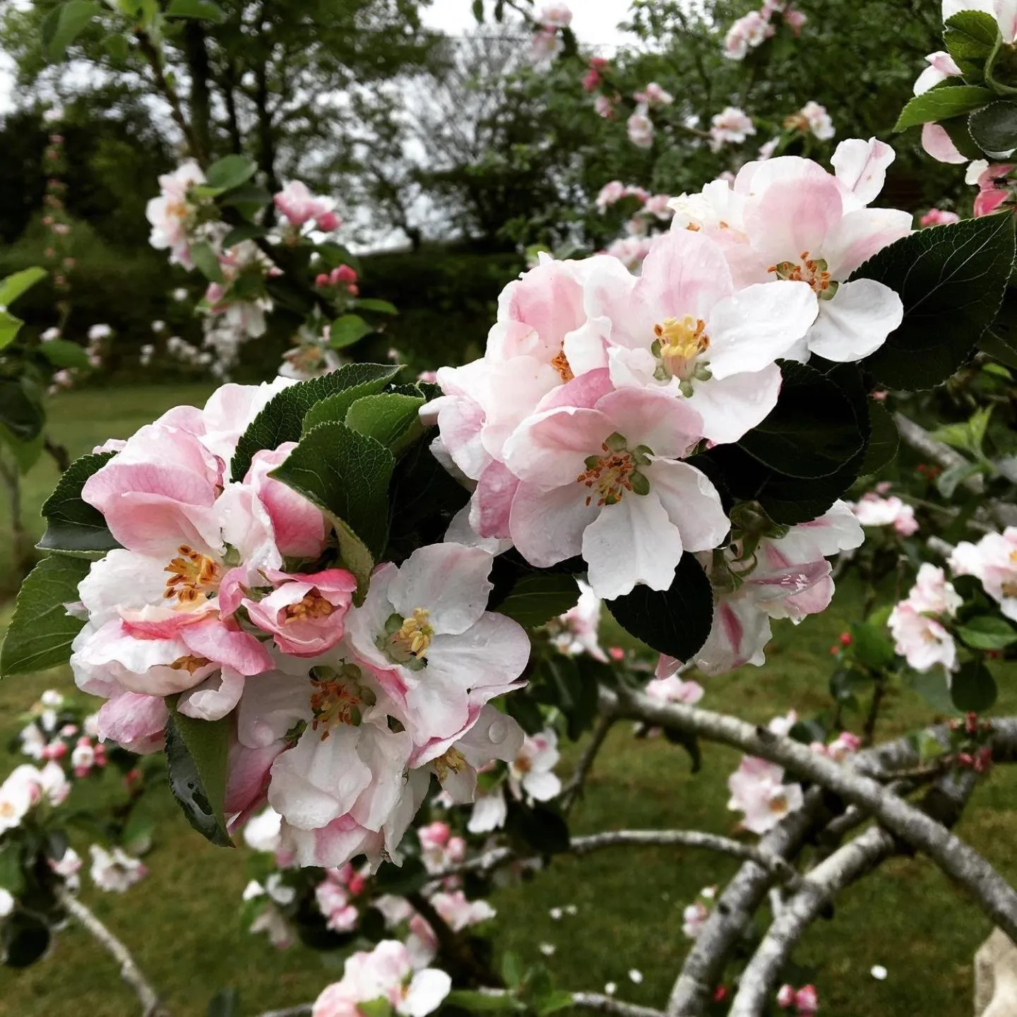 View (from property/room) in Ebberley Escapes