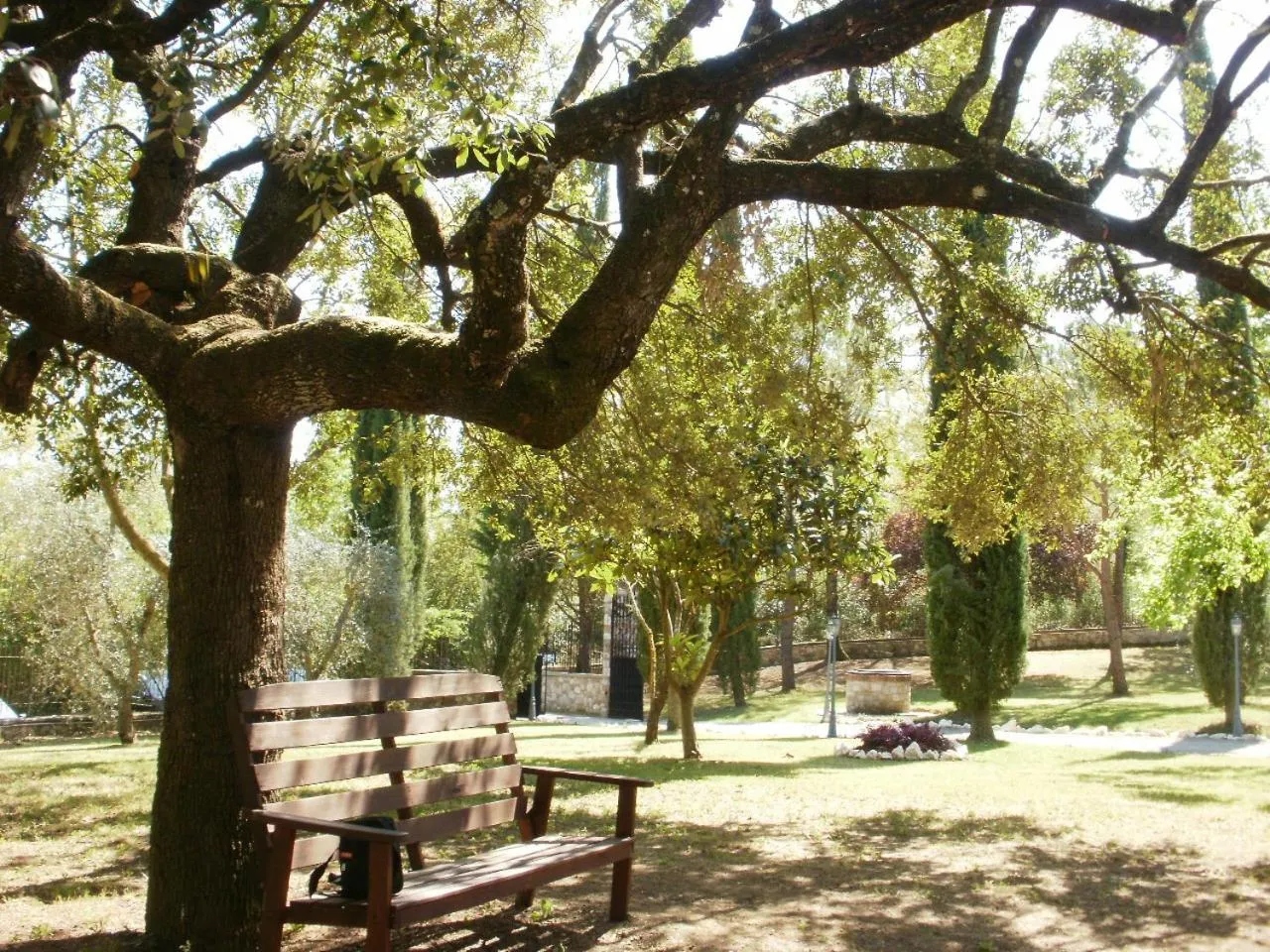 Garden in Il Podere San Giuseppe