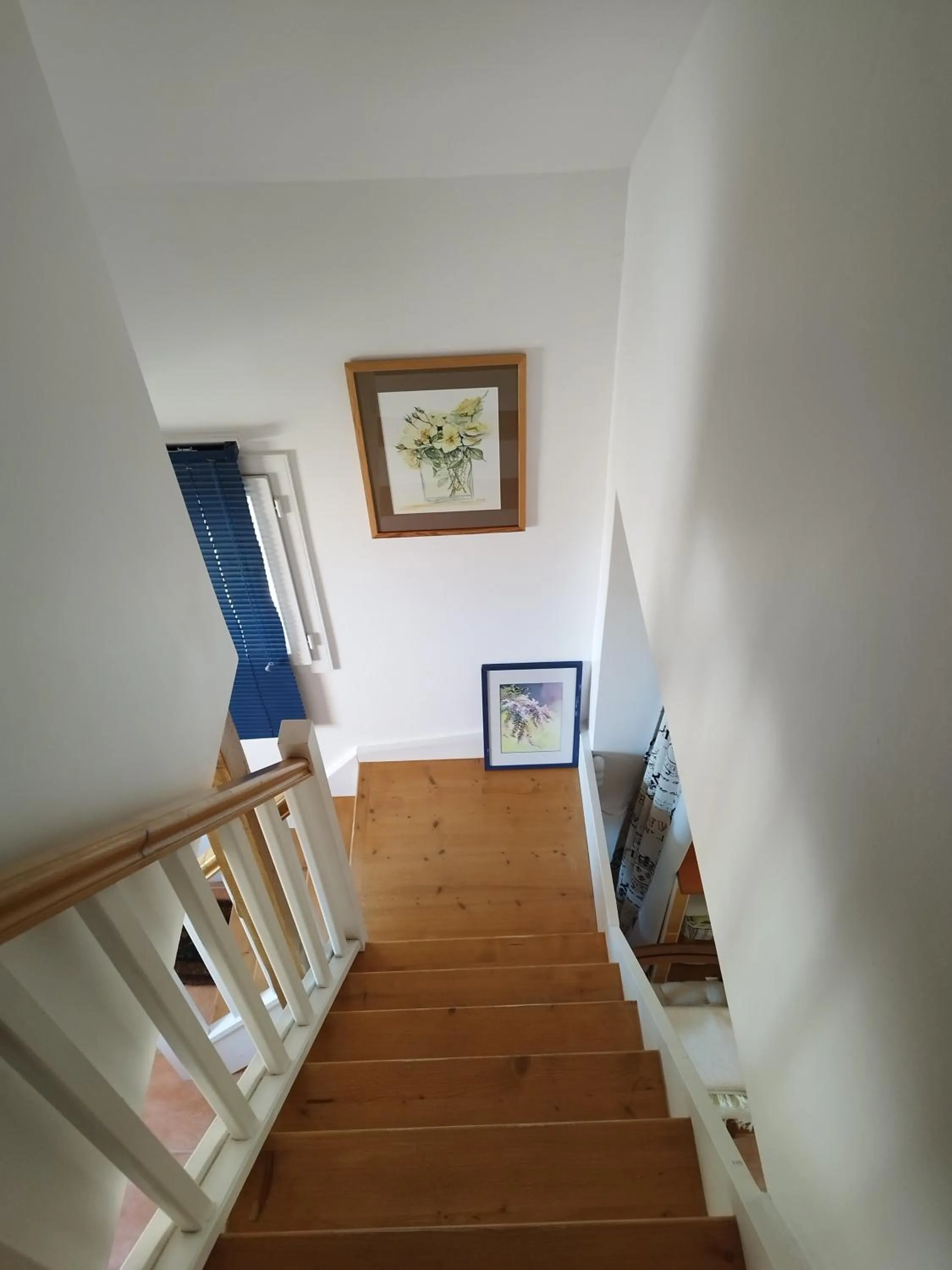 Le champ du petit bois