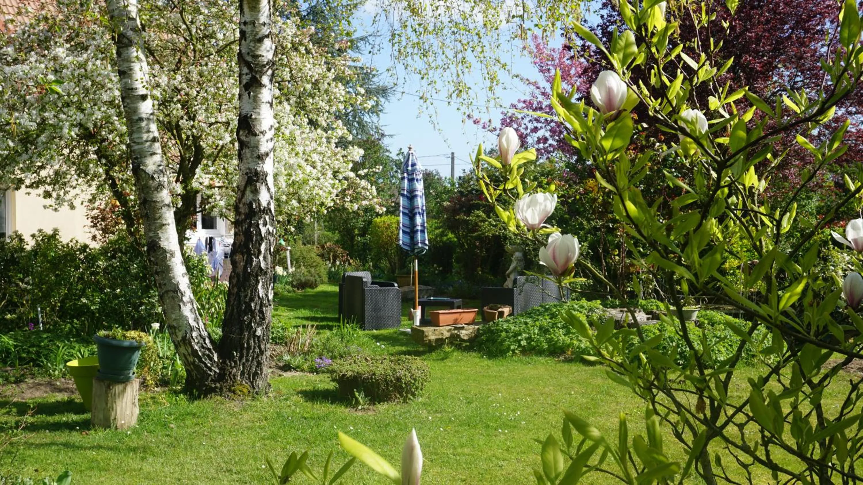 Le champ du petit bois