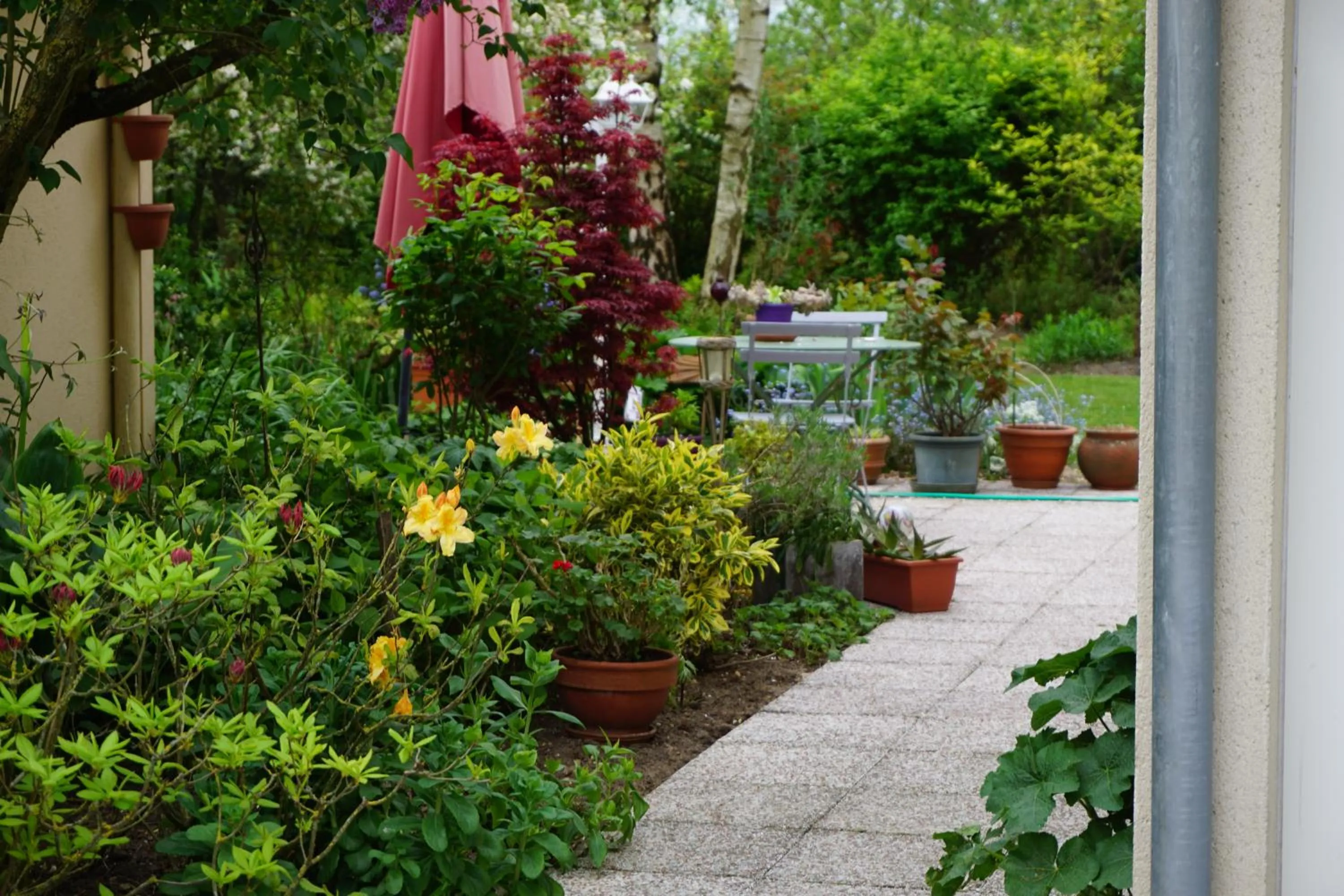 Garden in Le champ du petit bois