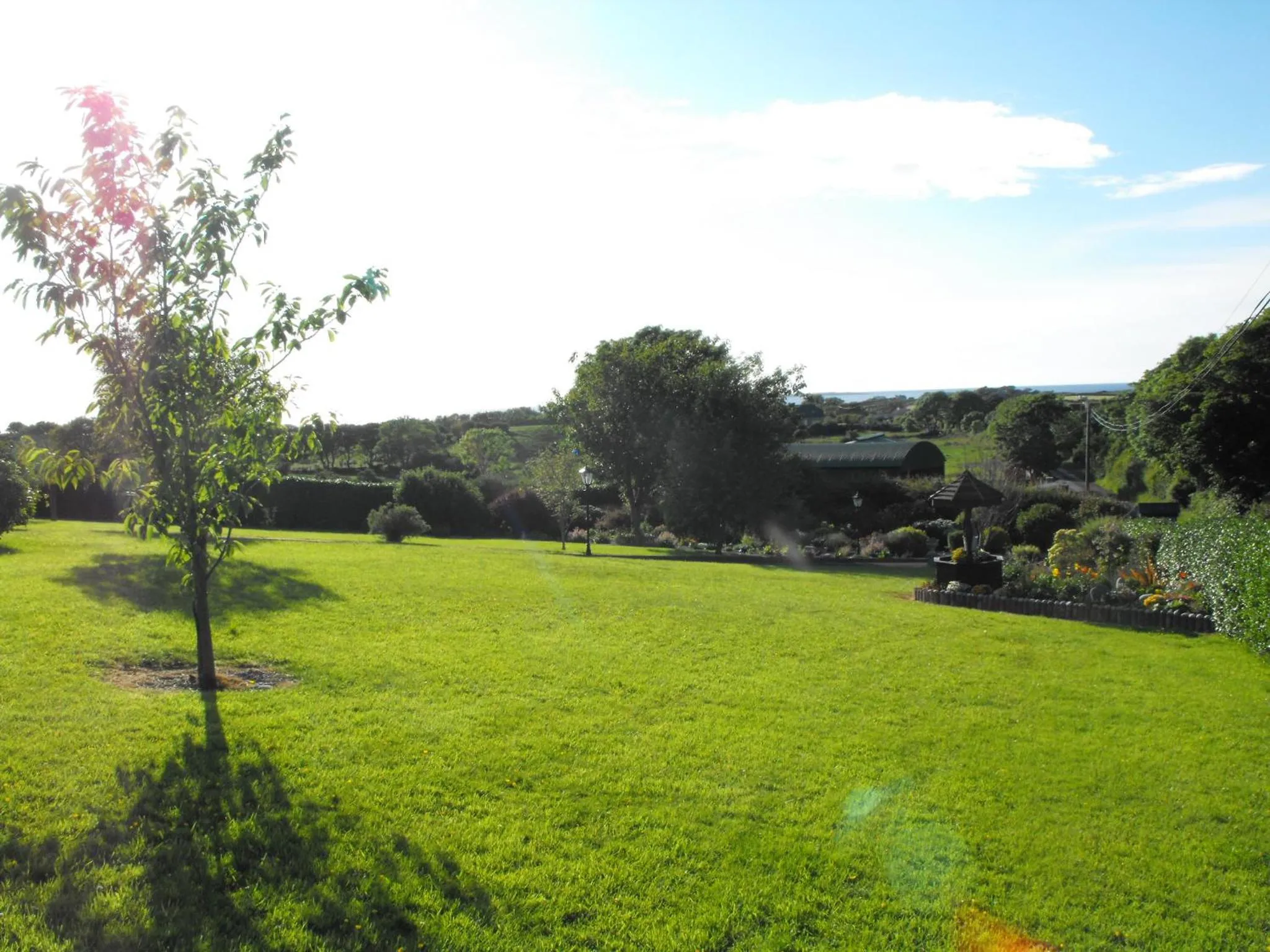 Garden in Mount Edward Lodge