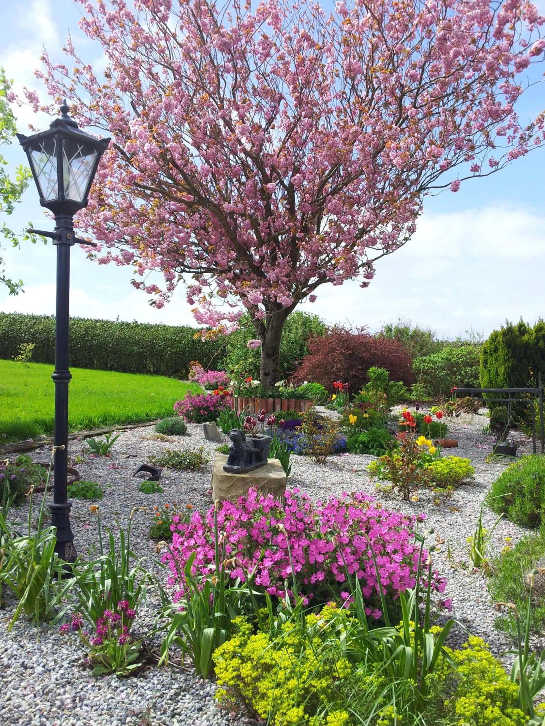 Garden in Mount Edward Lodge