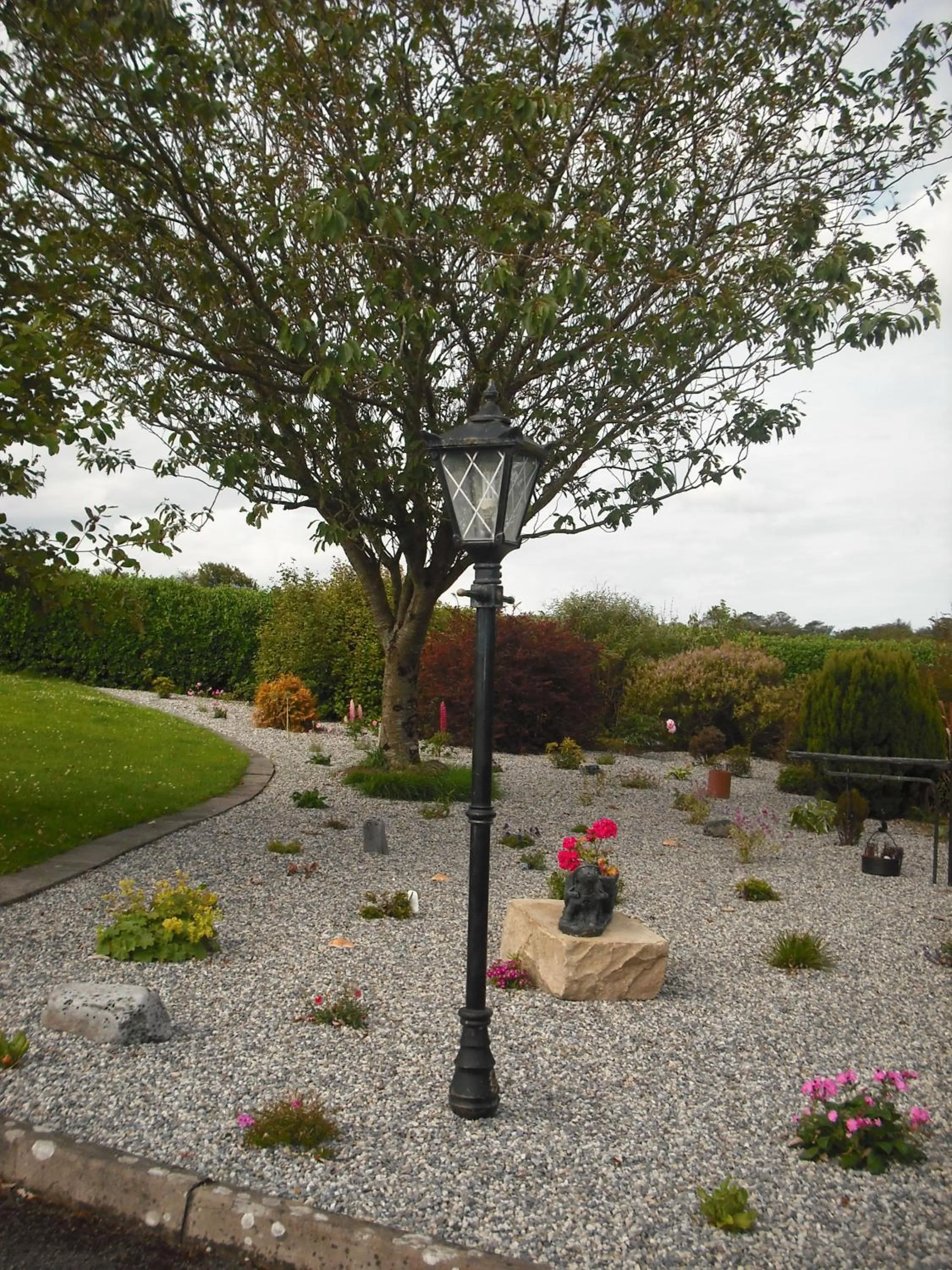 Garden in Mount Edward Lodge