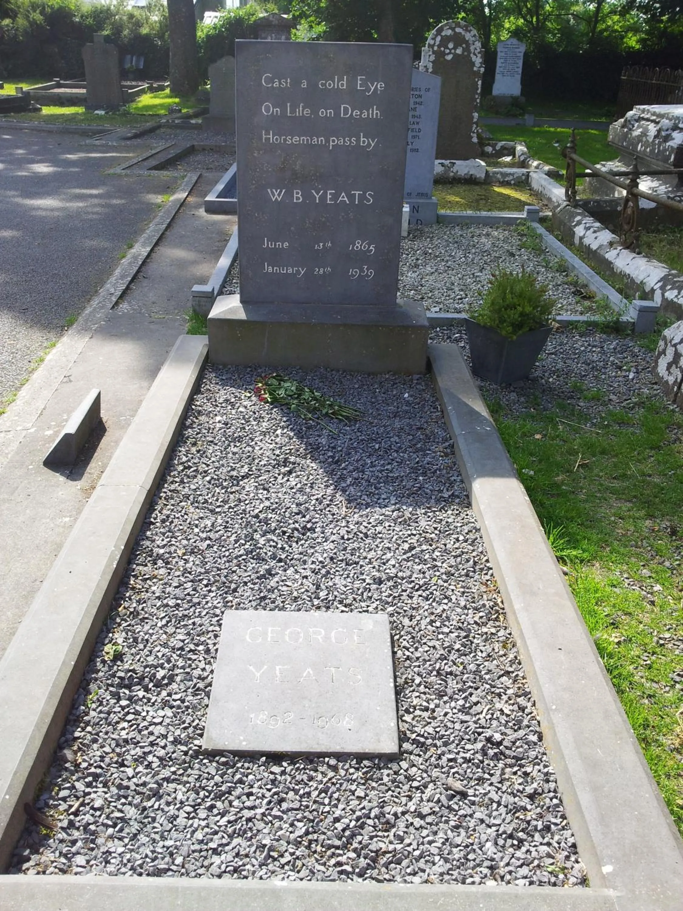 Area and facilities in Mount Edward Lodge