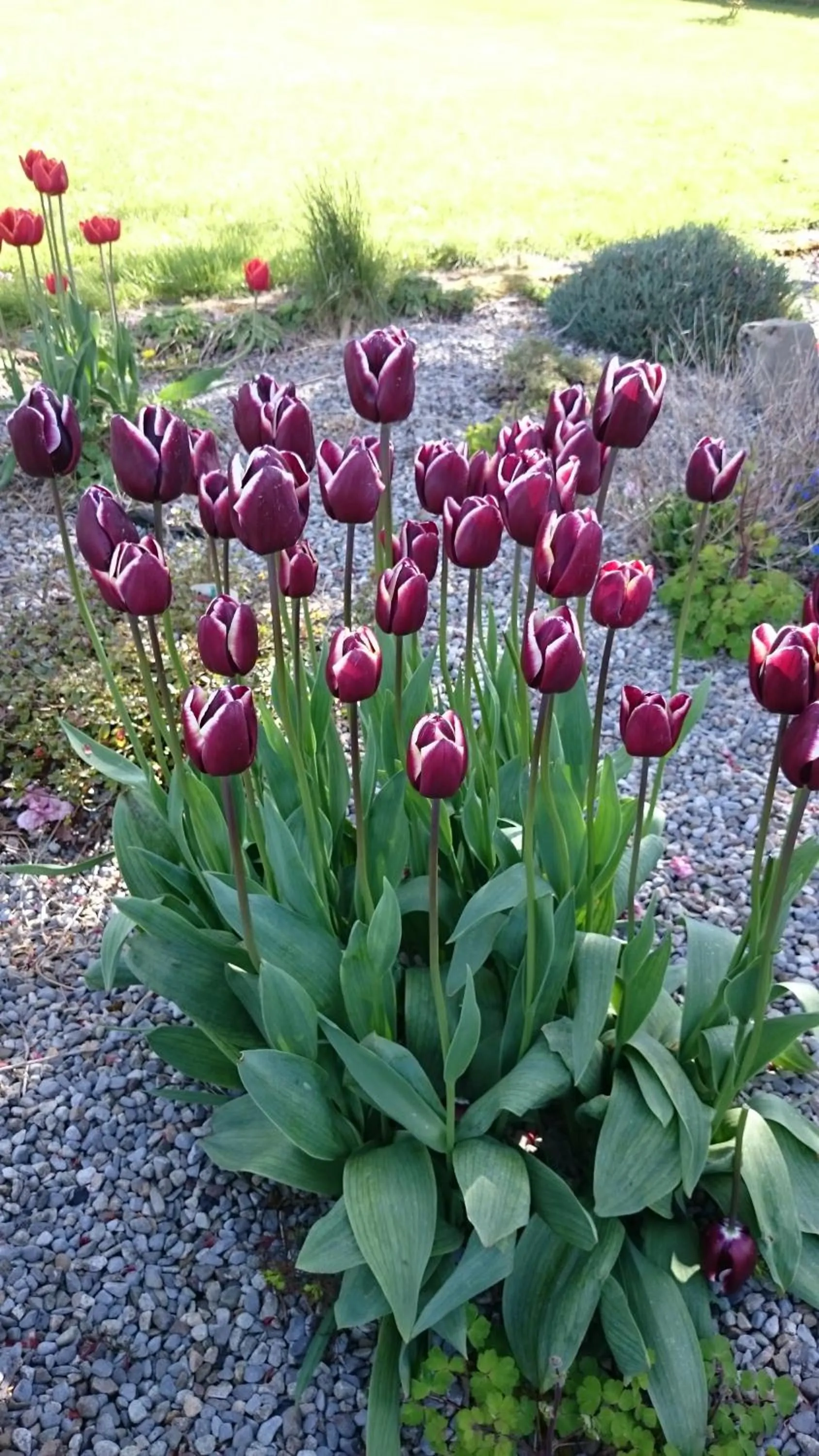 Natural landscape in Mount Edward Lodge