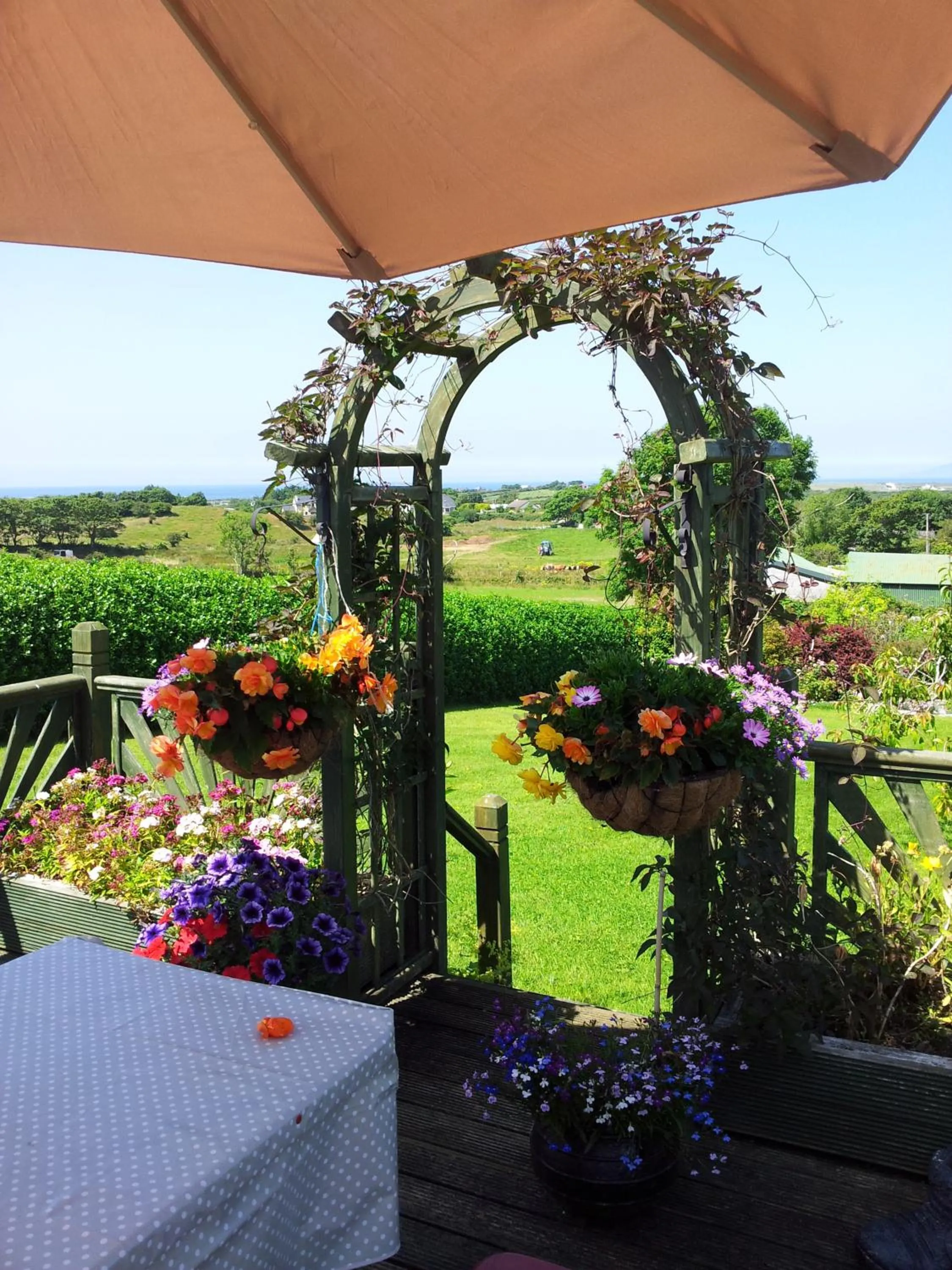 Garden in Mount Edward Lodge