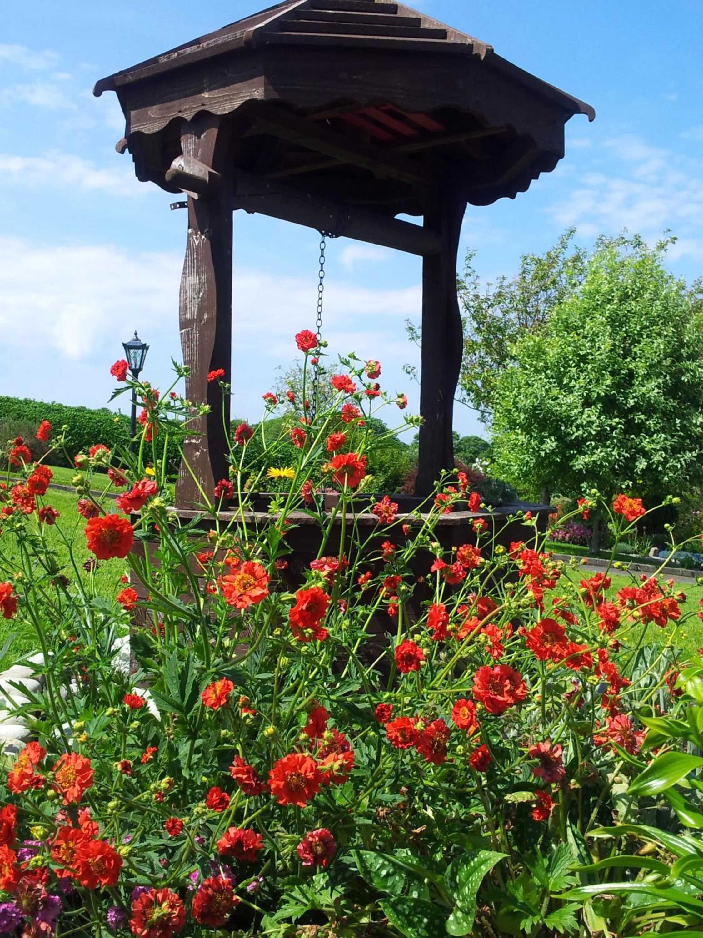 Garden in Mount Edward Lodge