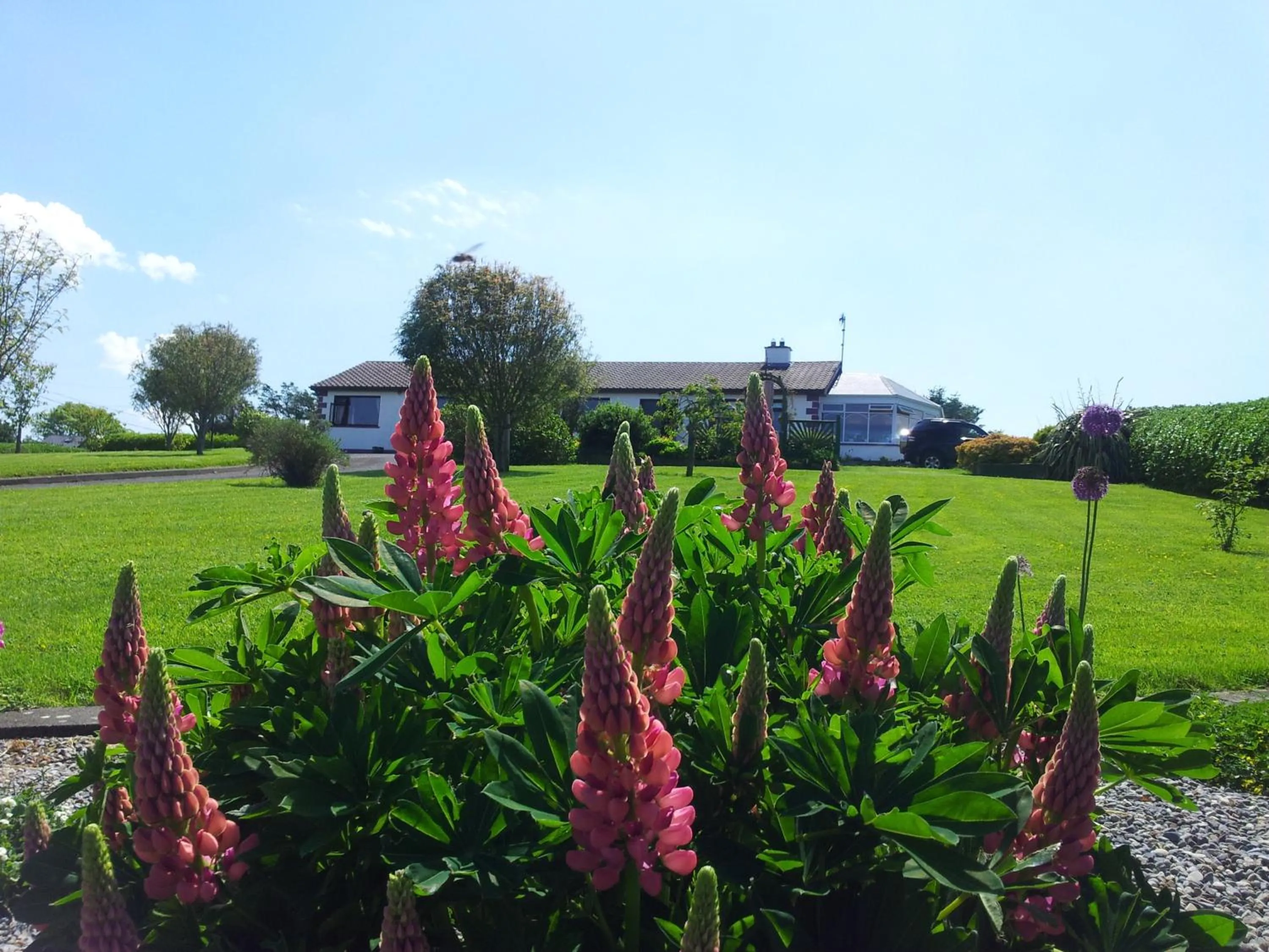 Facade/entrance in Mount Edward Lodge