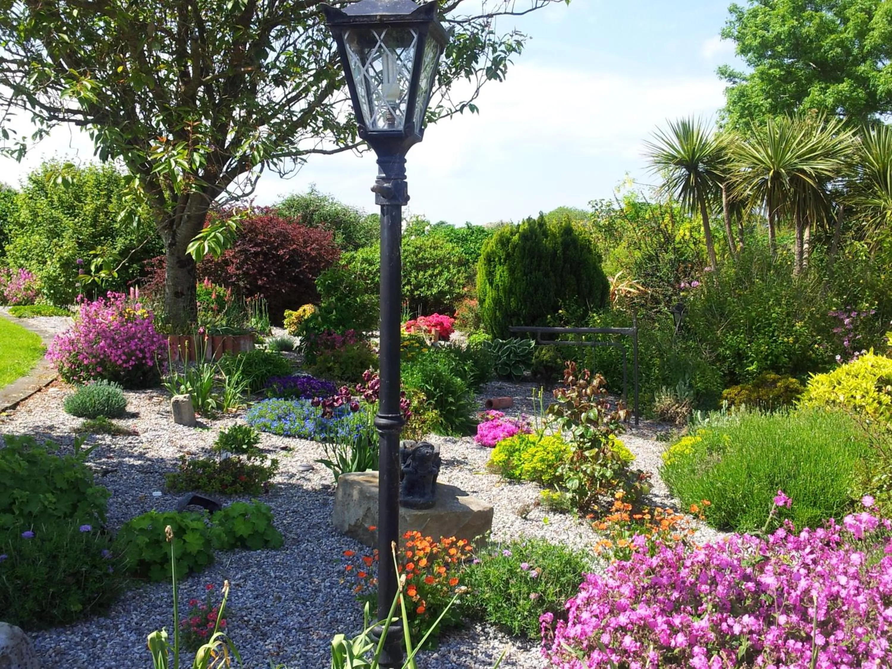 Garden in Mount Edward Lodge