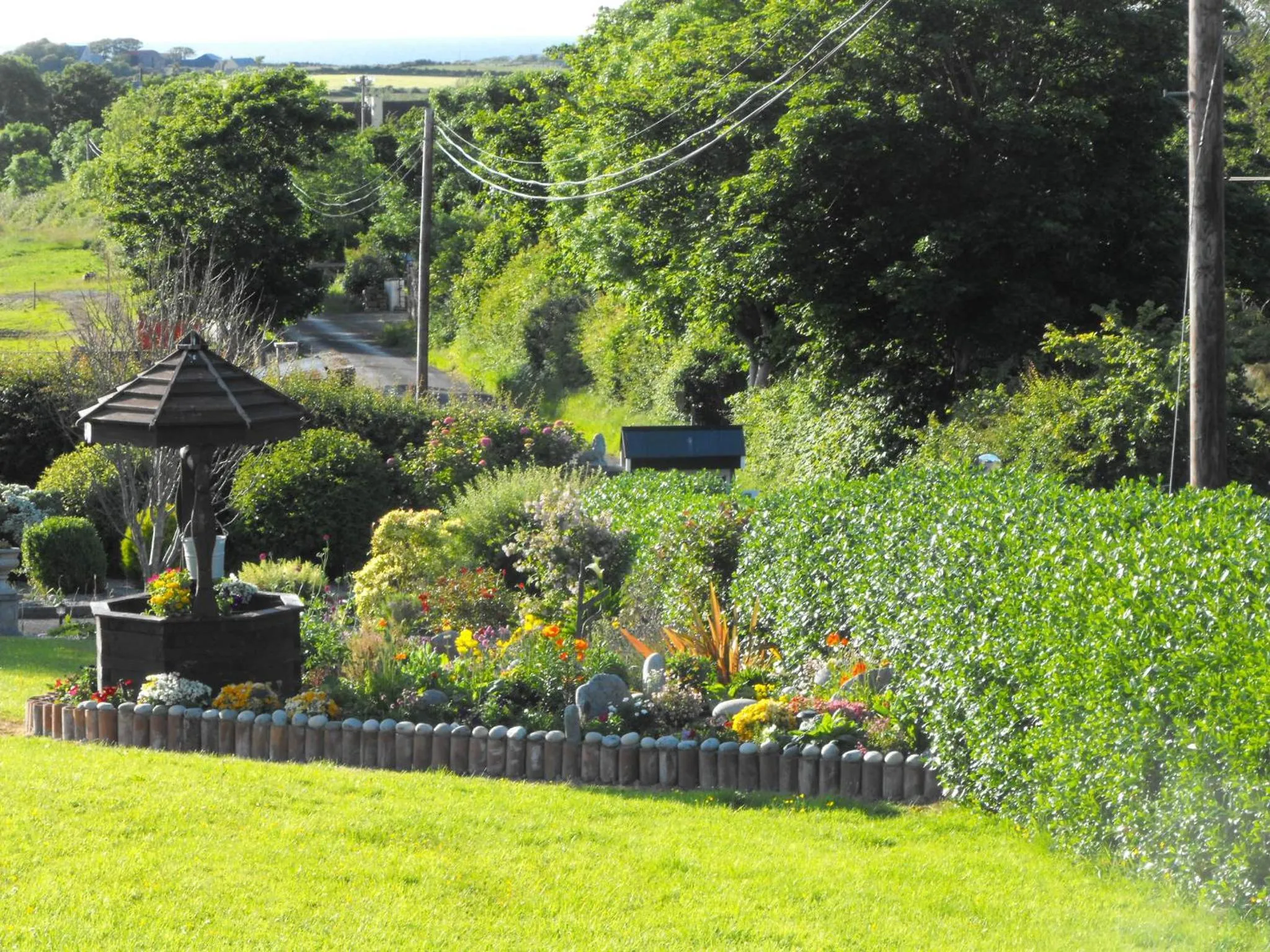 Day in Mount Edward Lodge