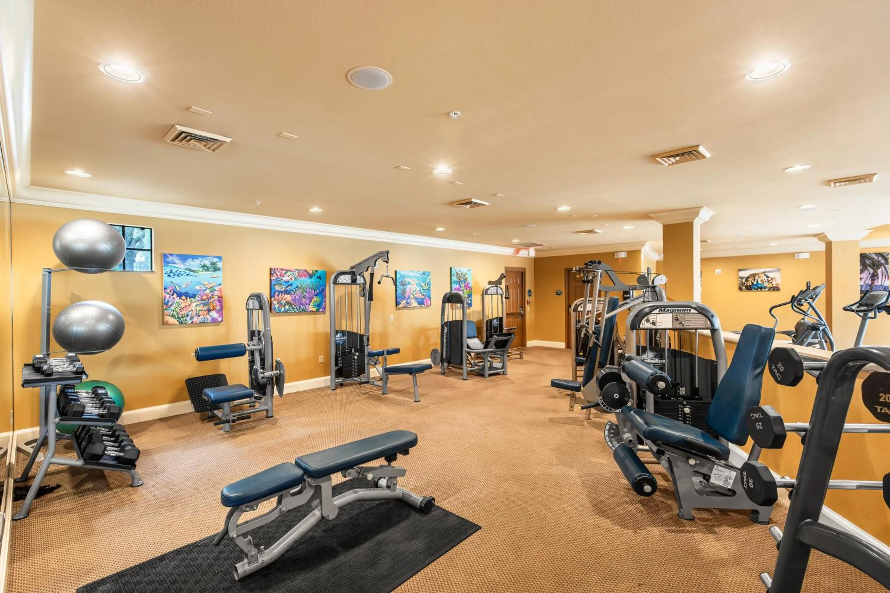 Fitness centre/facilities in The Berkley, Orlando