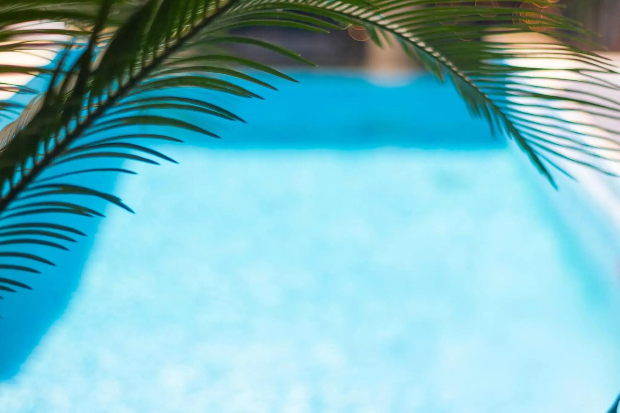 Swimming pool in Prodeo Hotel + Lounge