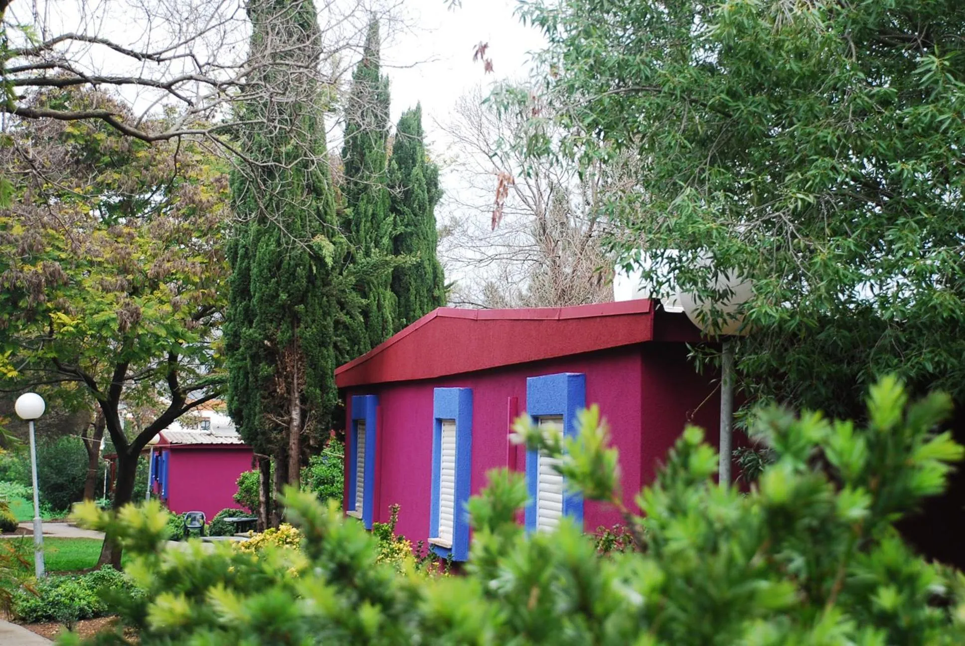 Garden in Mizra Guest House