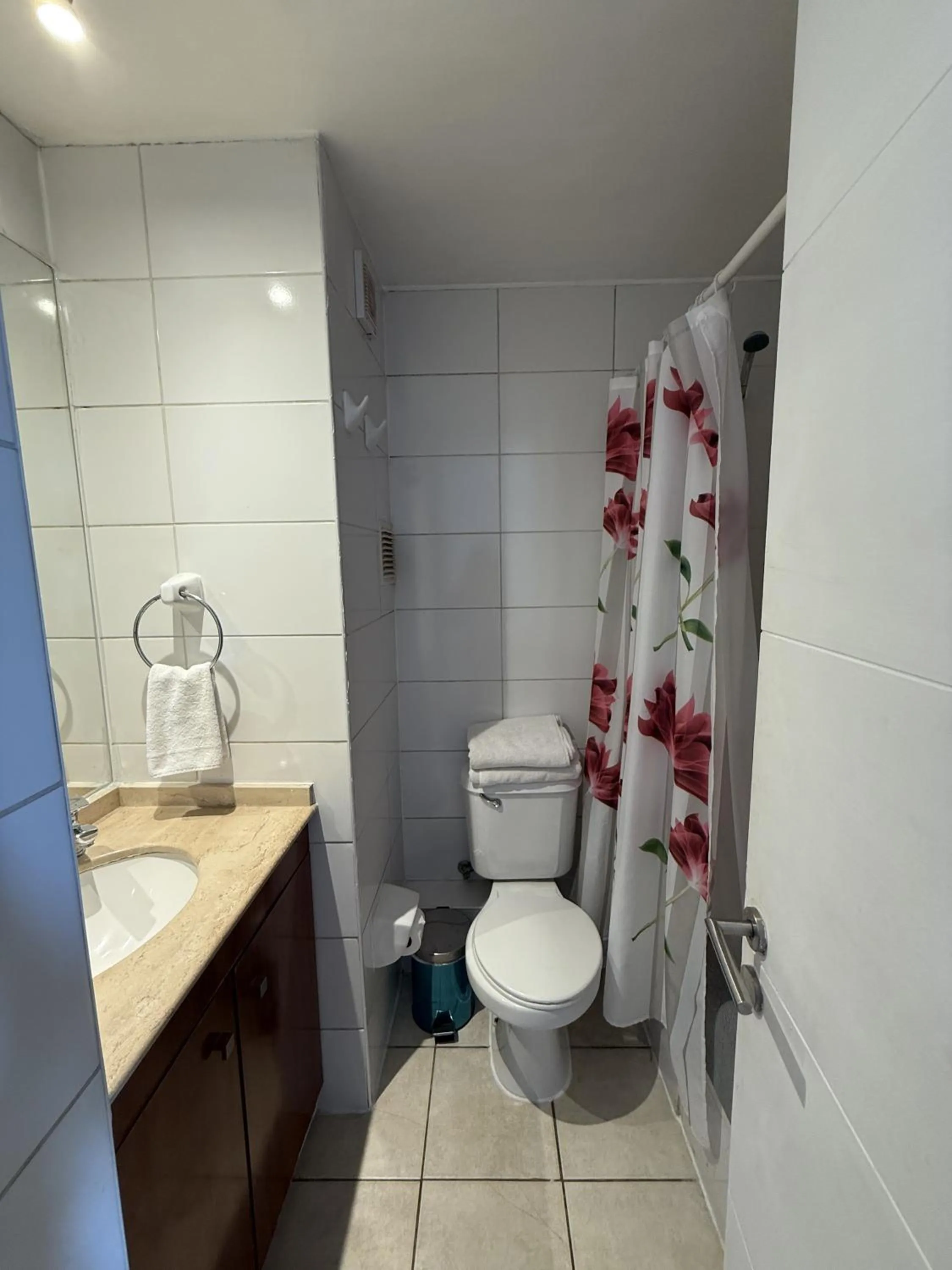 Bathroom in VR Suite Santiago