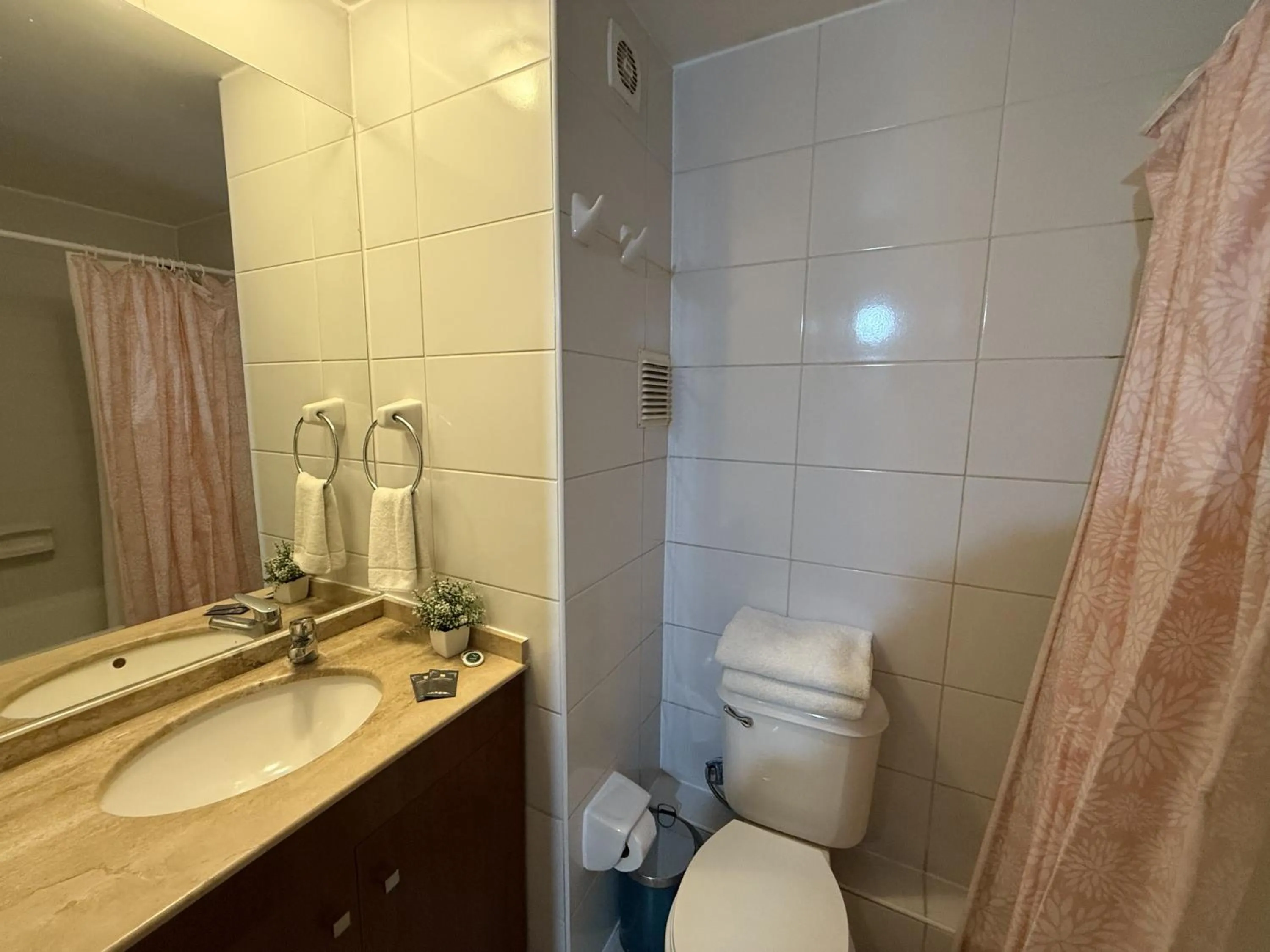 Bathroom in VR Suite Santiago