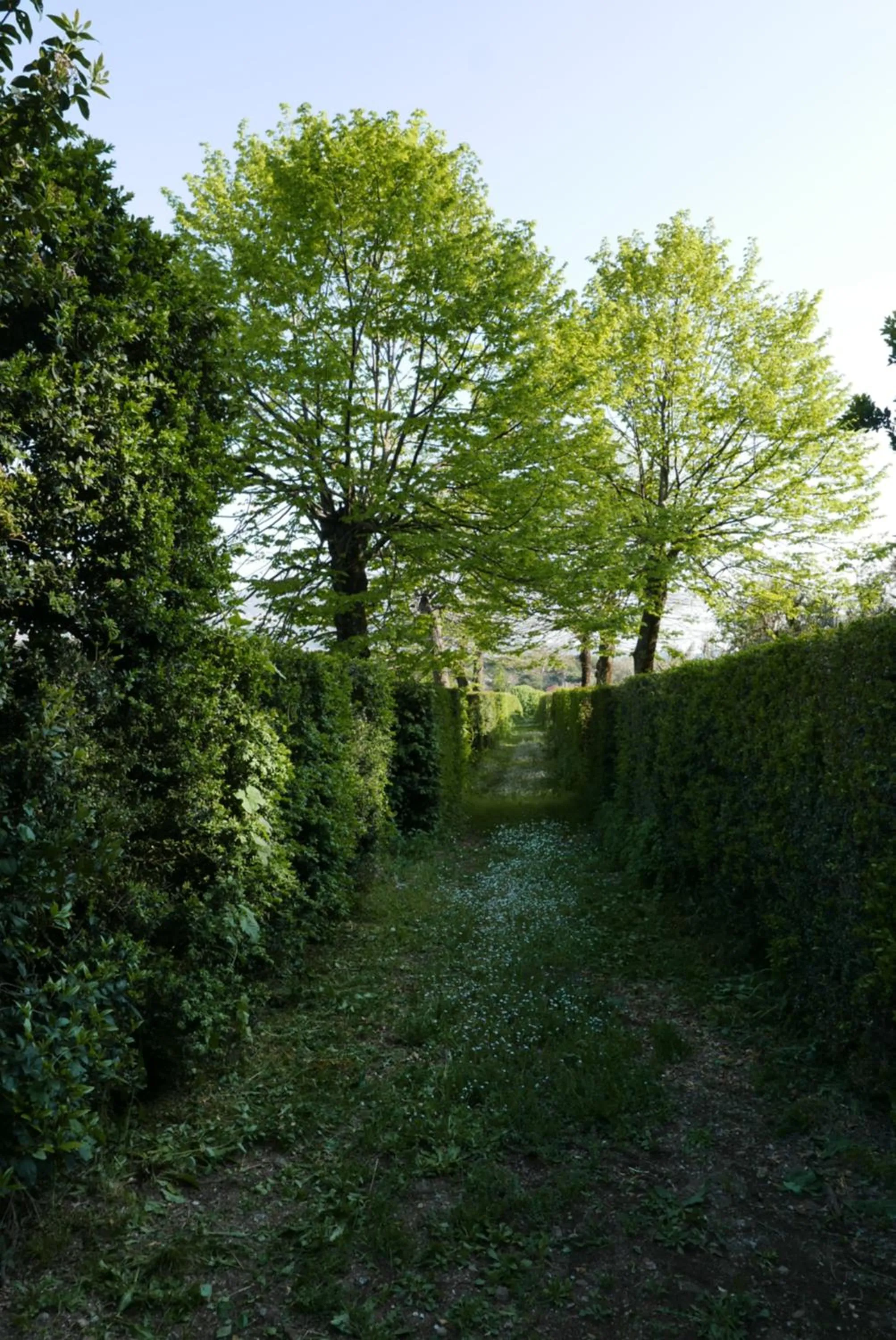 Natural landscape in Villa Cavalletti