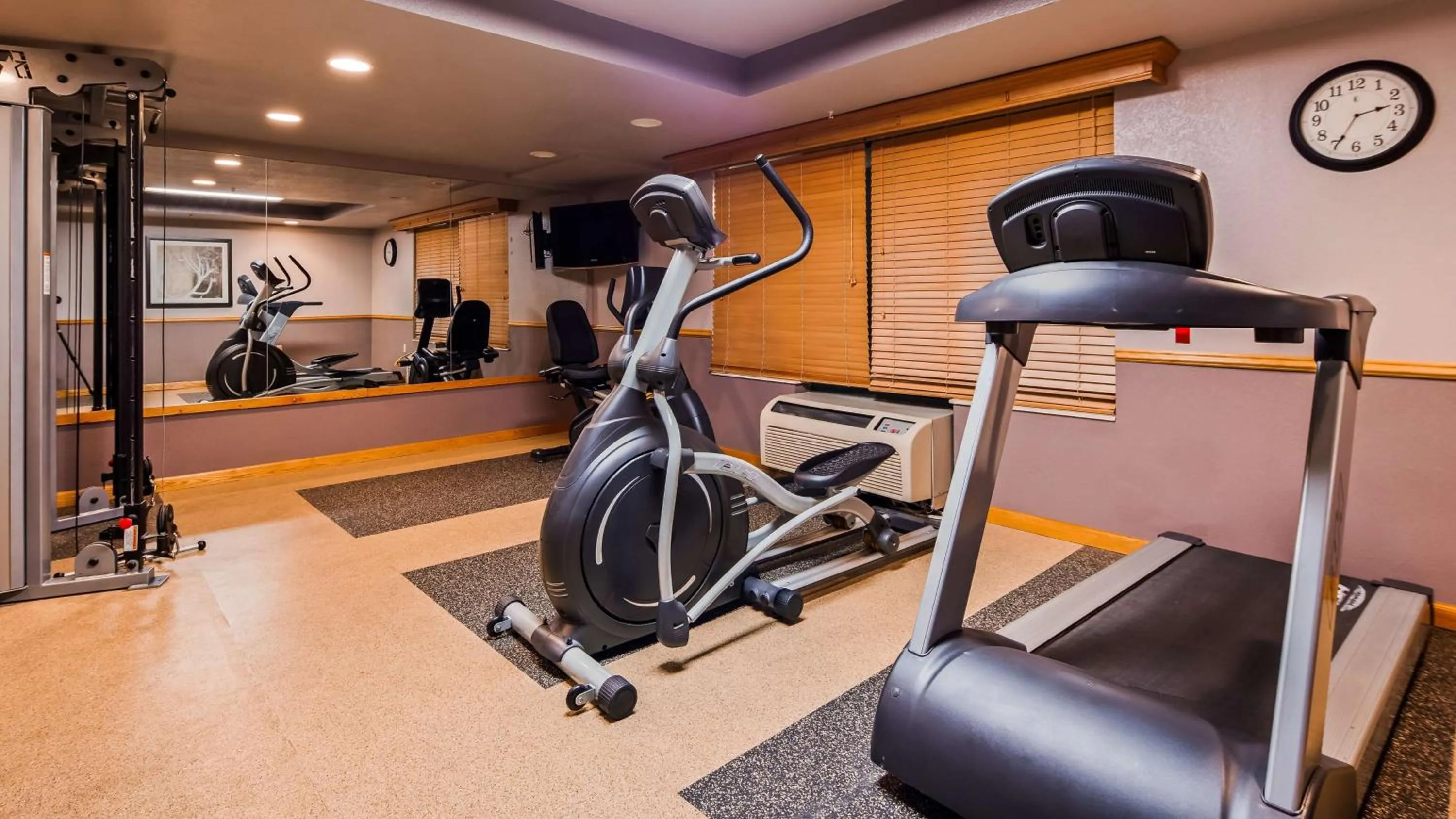 Fitness centre/facilities in Best Western Plus Sidney Lodge