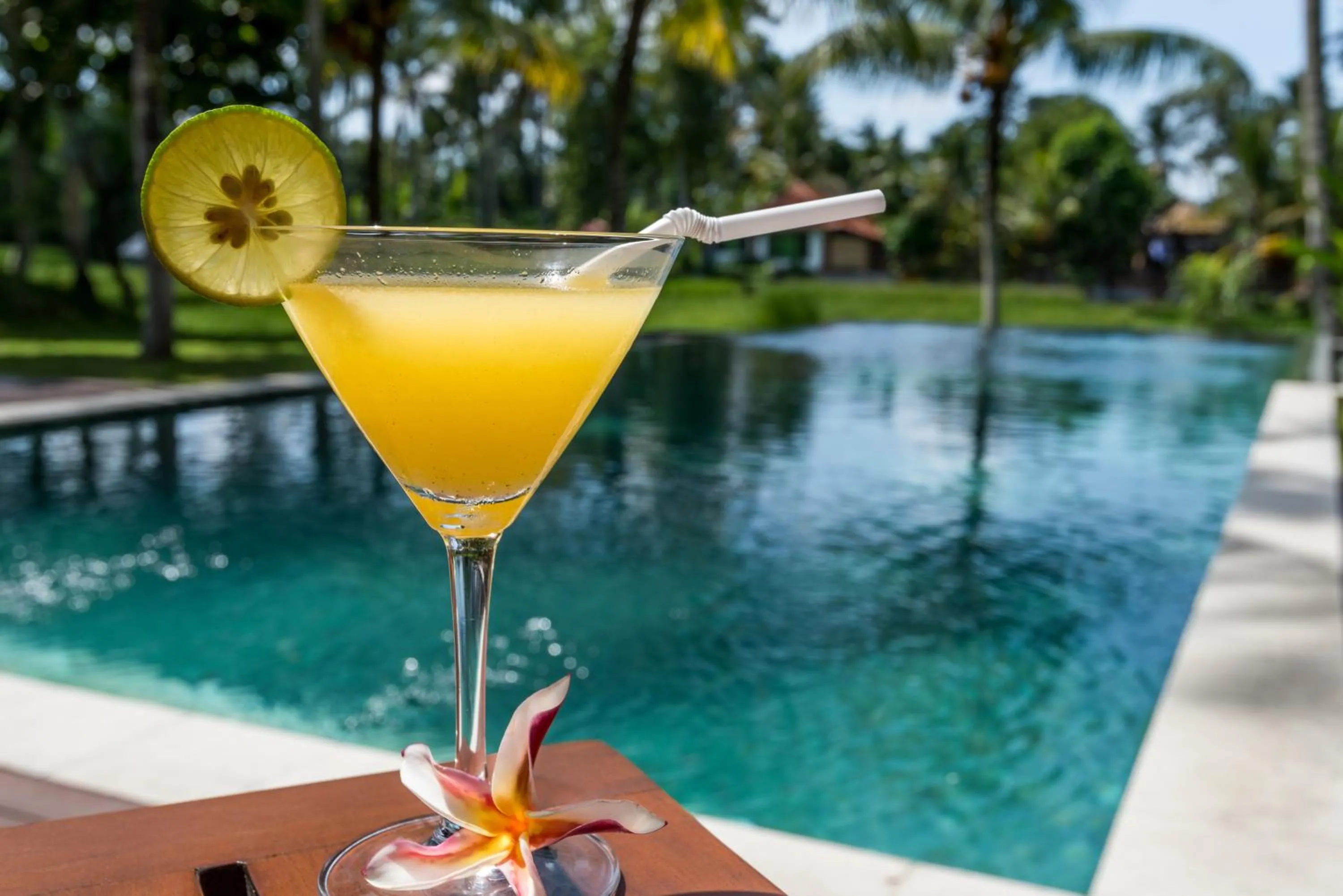 Swimming pool in Villa Sabandari