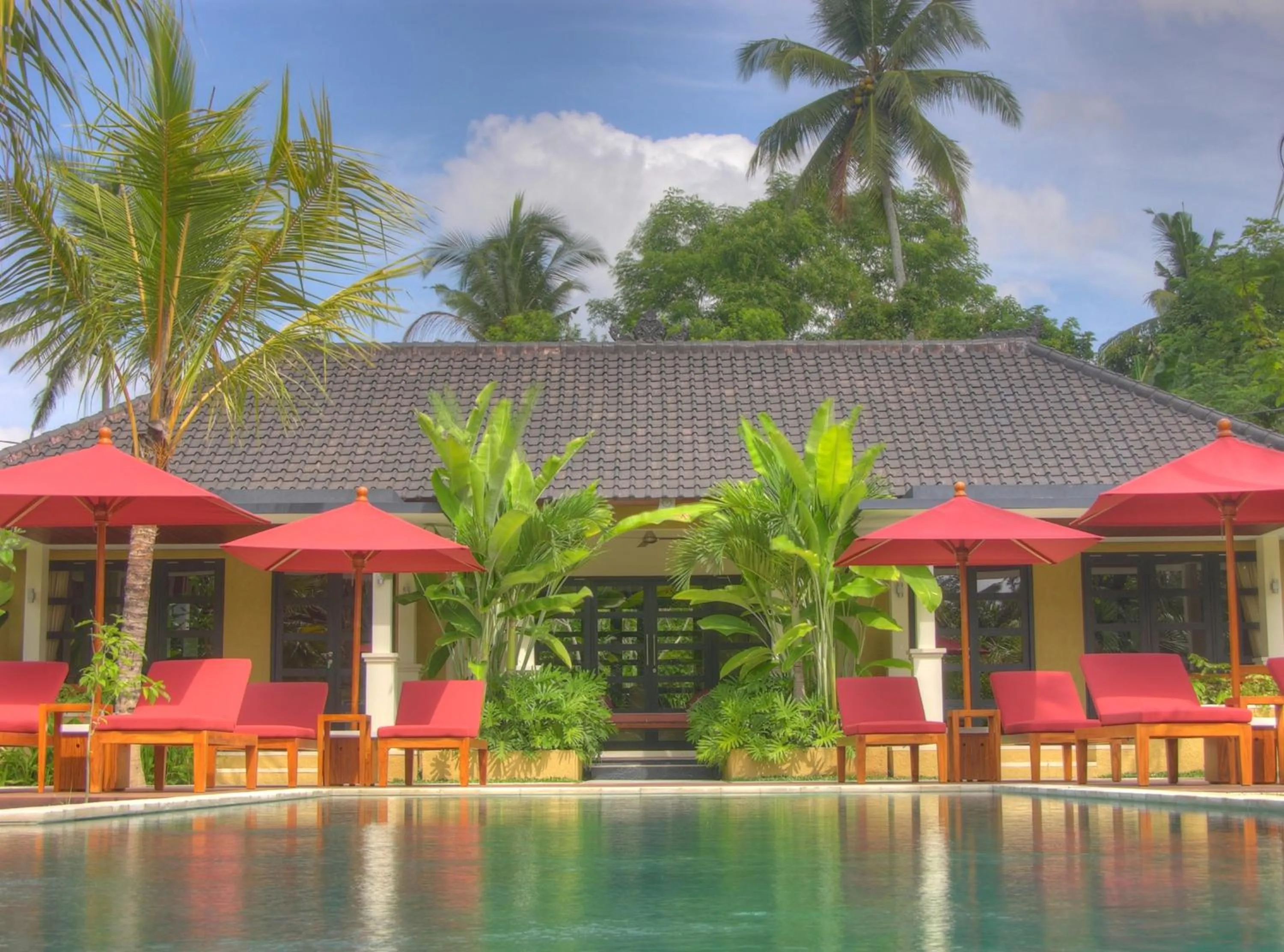 Library in Villa Sabandari