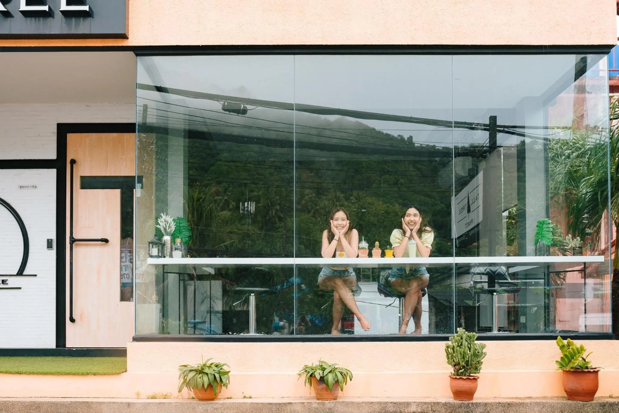 Tall Tree Kata Phuket