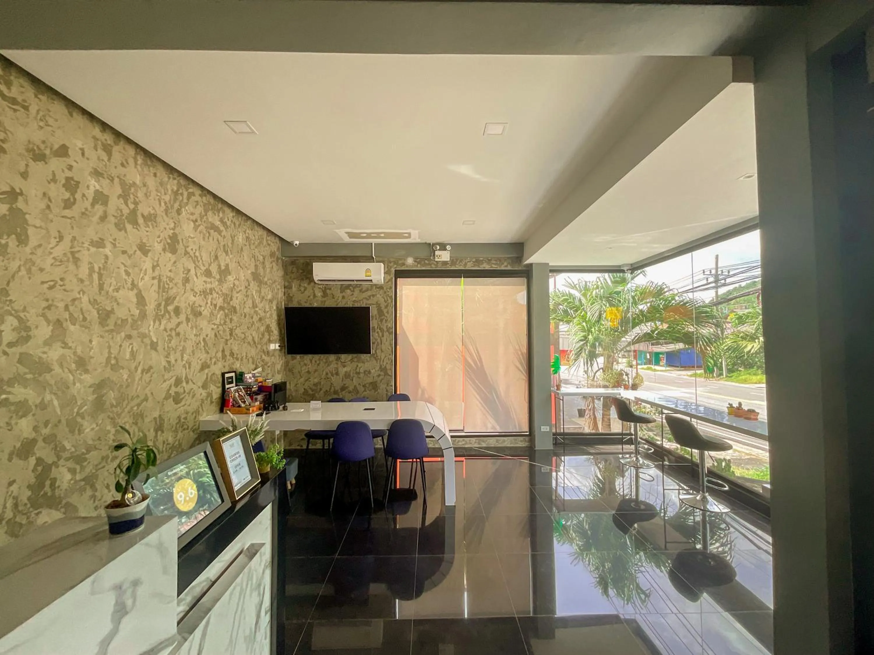 Tall Tree Kata Phuket