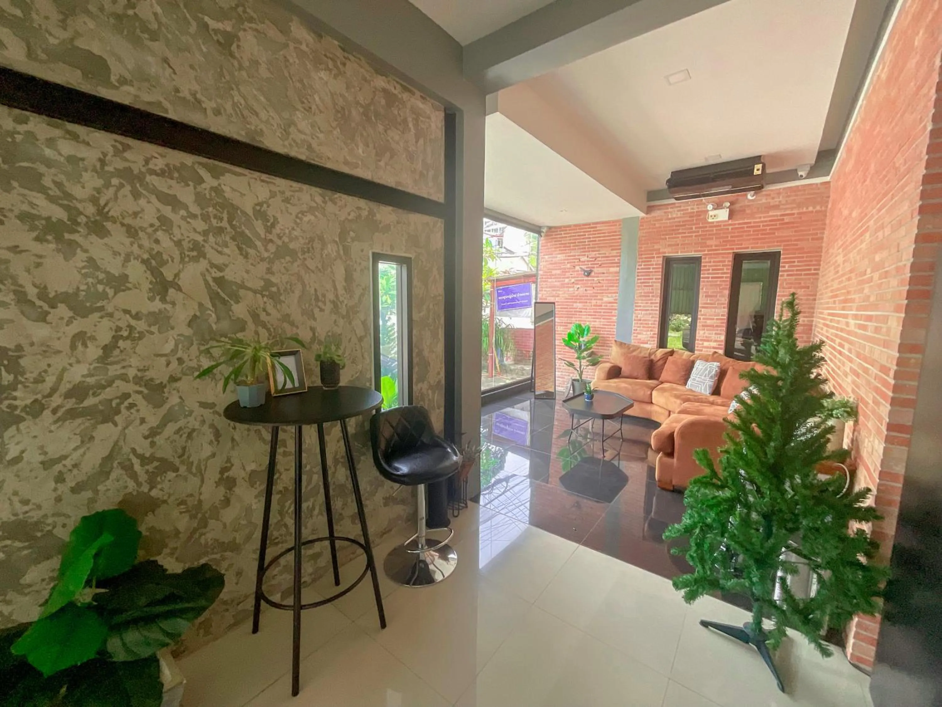 Tall Tree Kata Phuket