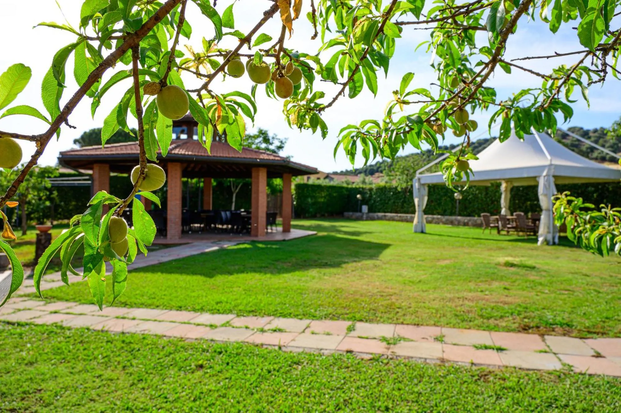 Natural landscape in Resort Capalbio