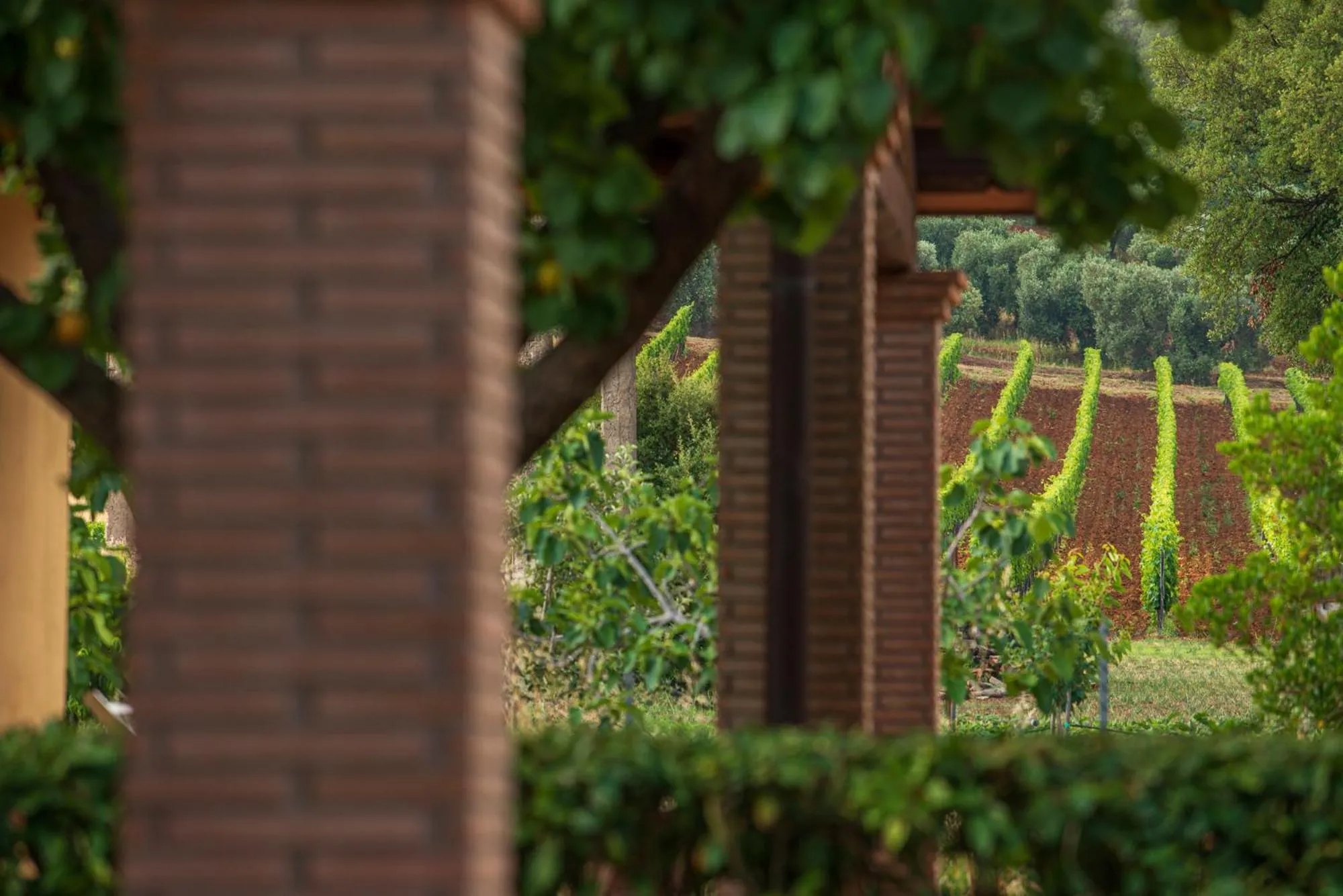 Natural landscape in Resort Capalbio