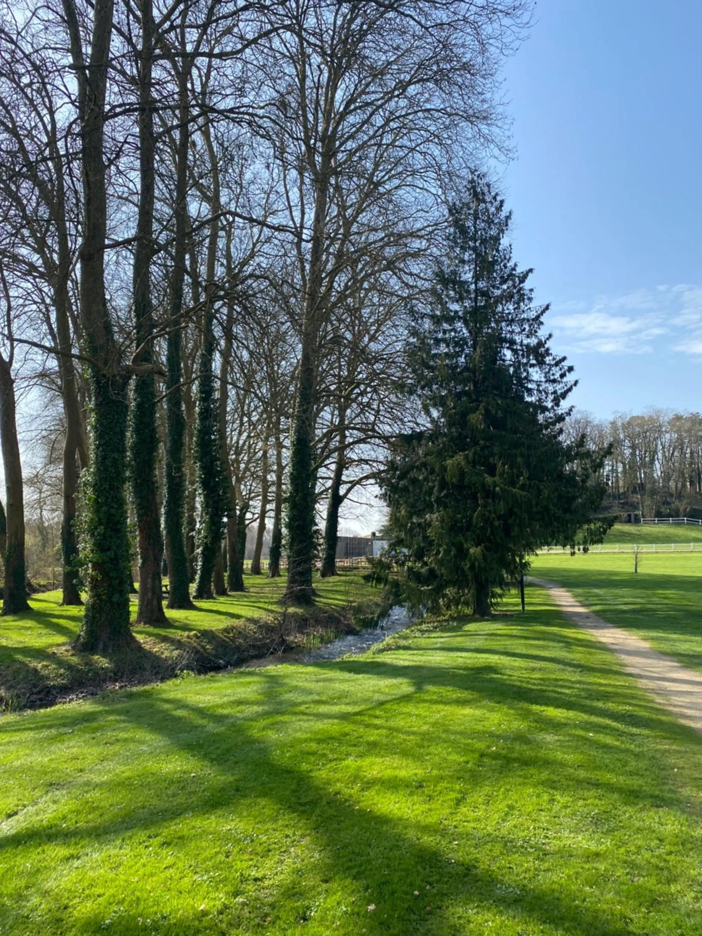 Logis Hôtel Le Saint Georges