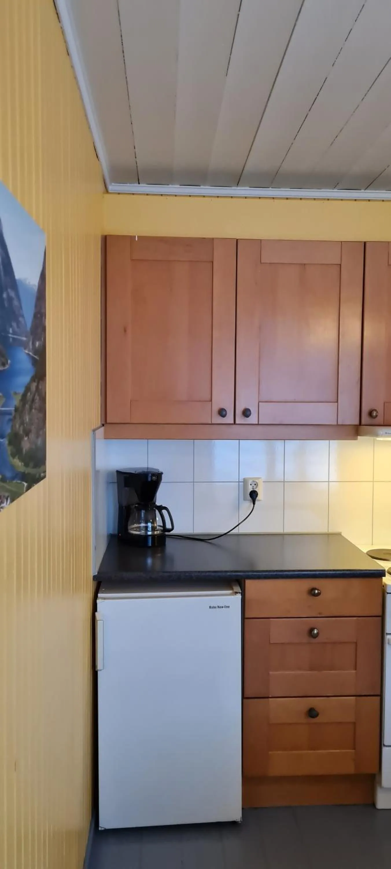 Kitchen or kitchenette in Lærdal Ferie- og Fritidspark