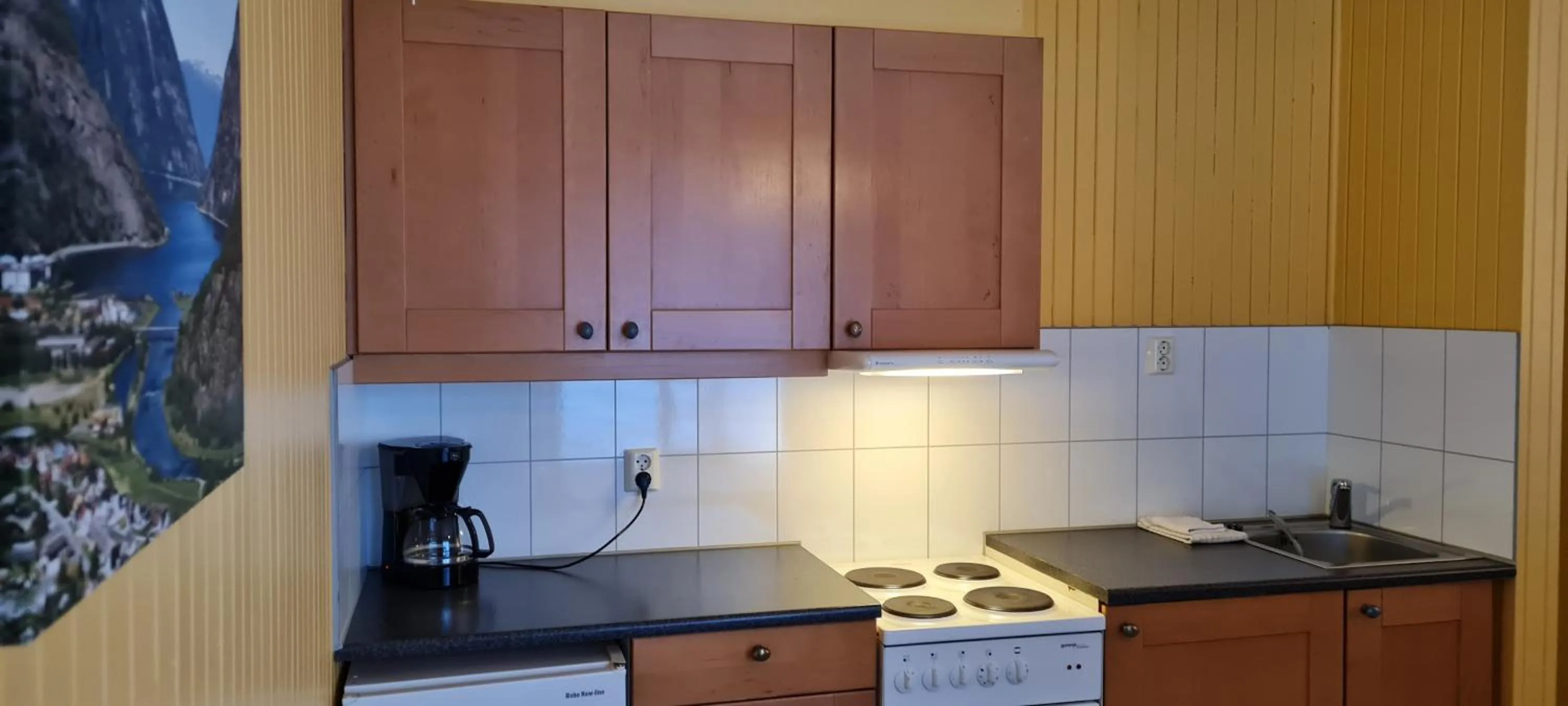 kitchen in Lærdal Ferie- og Fritidspark