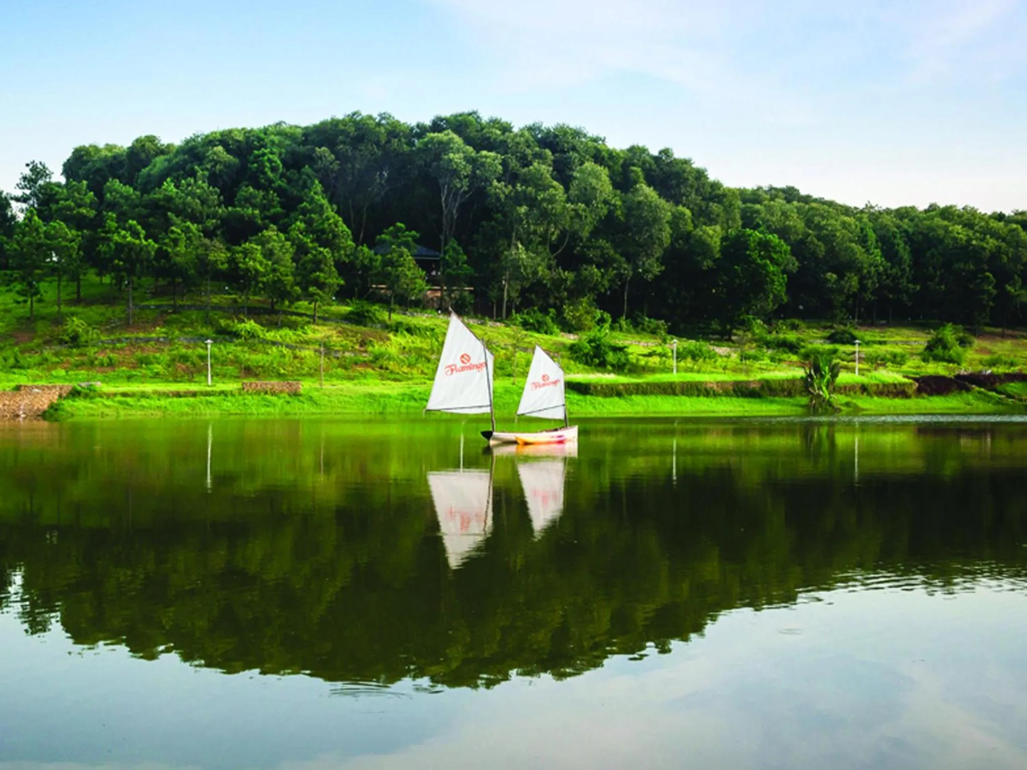 Windsurfing in Flamingo Dai Lai Resort