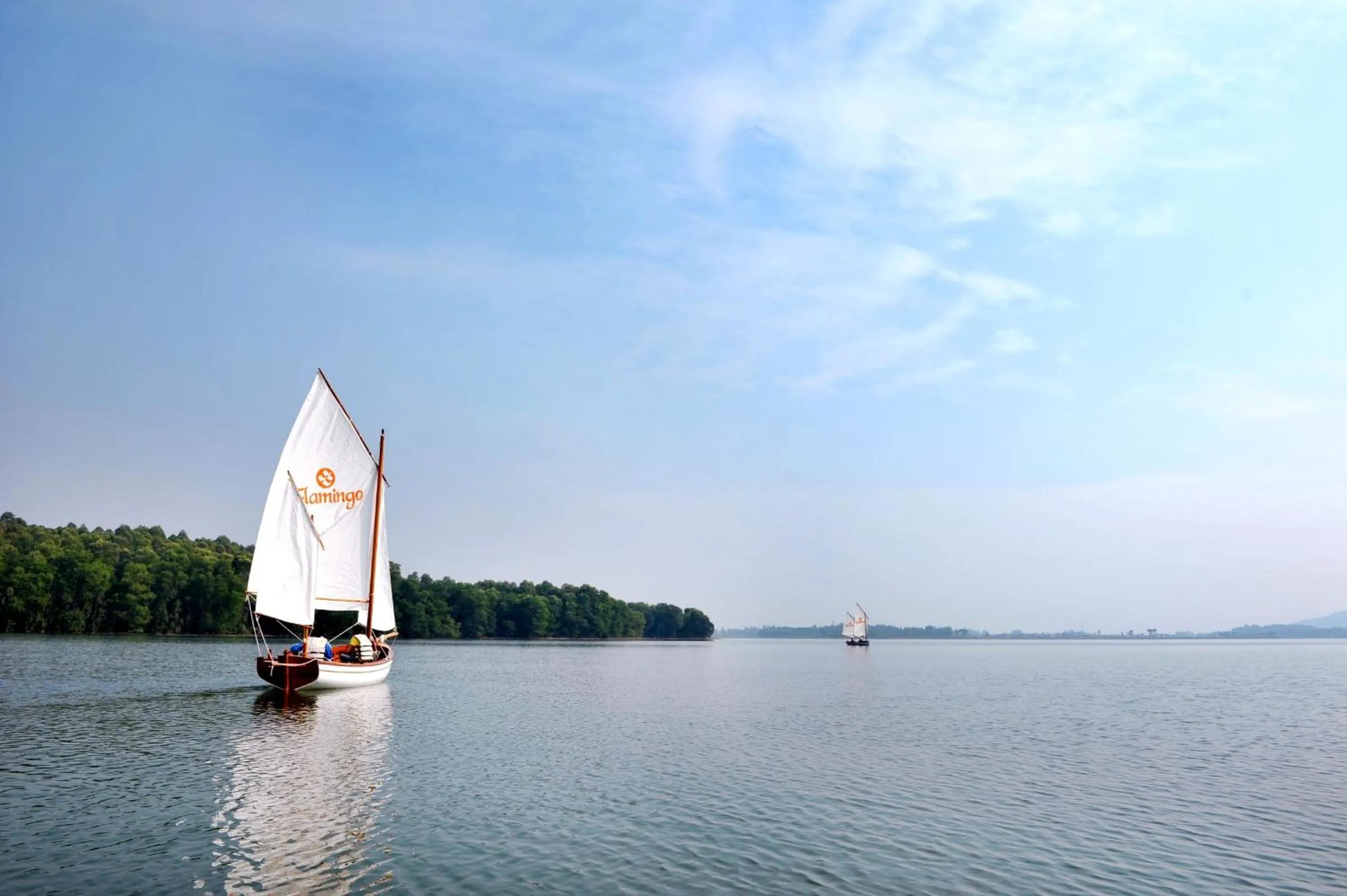 Windsurfing in Flamingo Dai Lai Resort