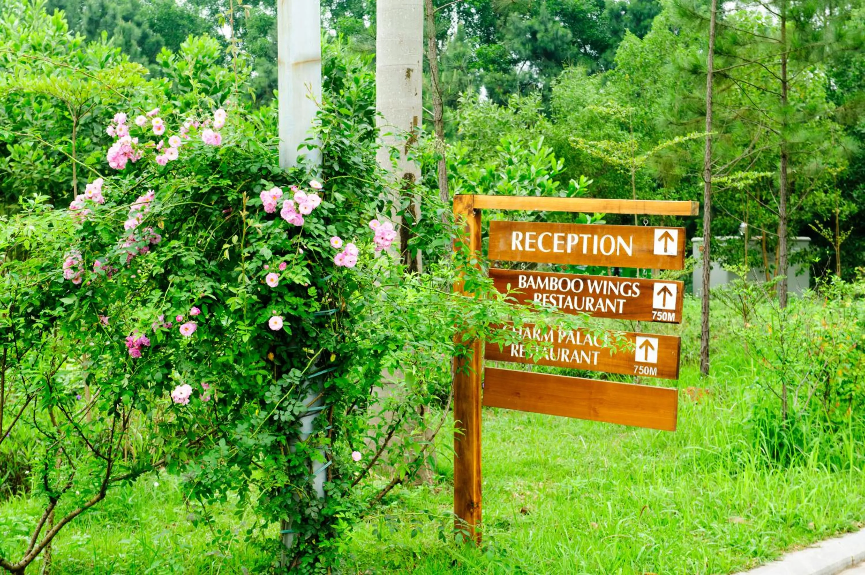 Logo/Certificate/Sign in Flamingo Dai Lai Resort