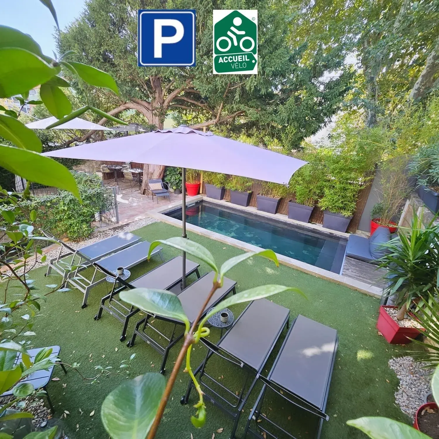 La Maison Grivolas La Maison Grivolas