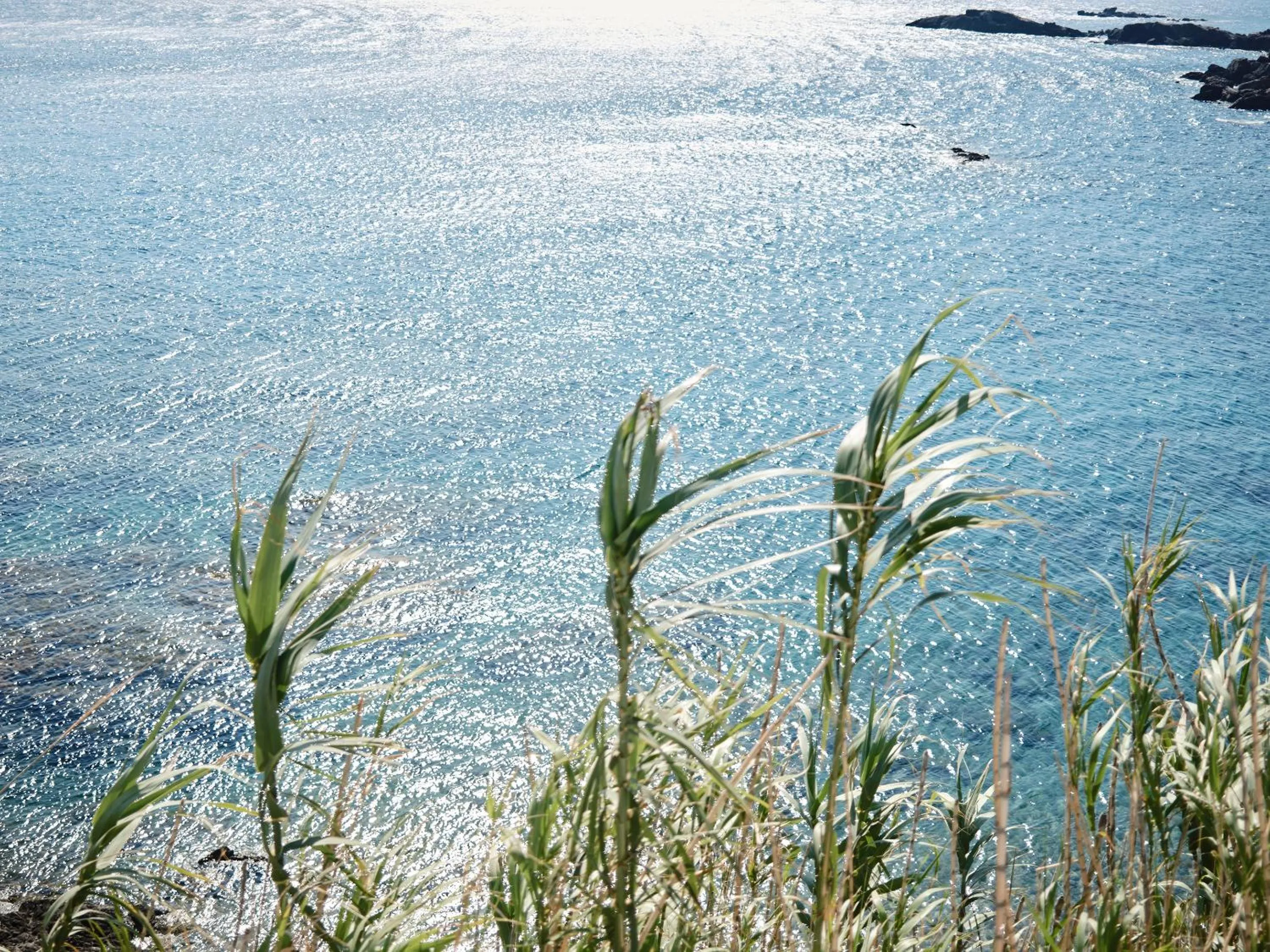 Beach in Mykonos Lolita, A Grecotel Resort to Live