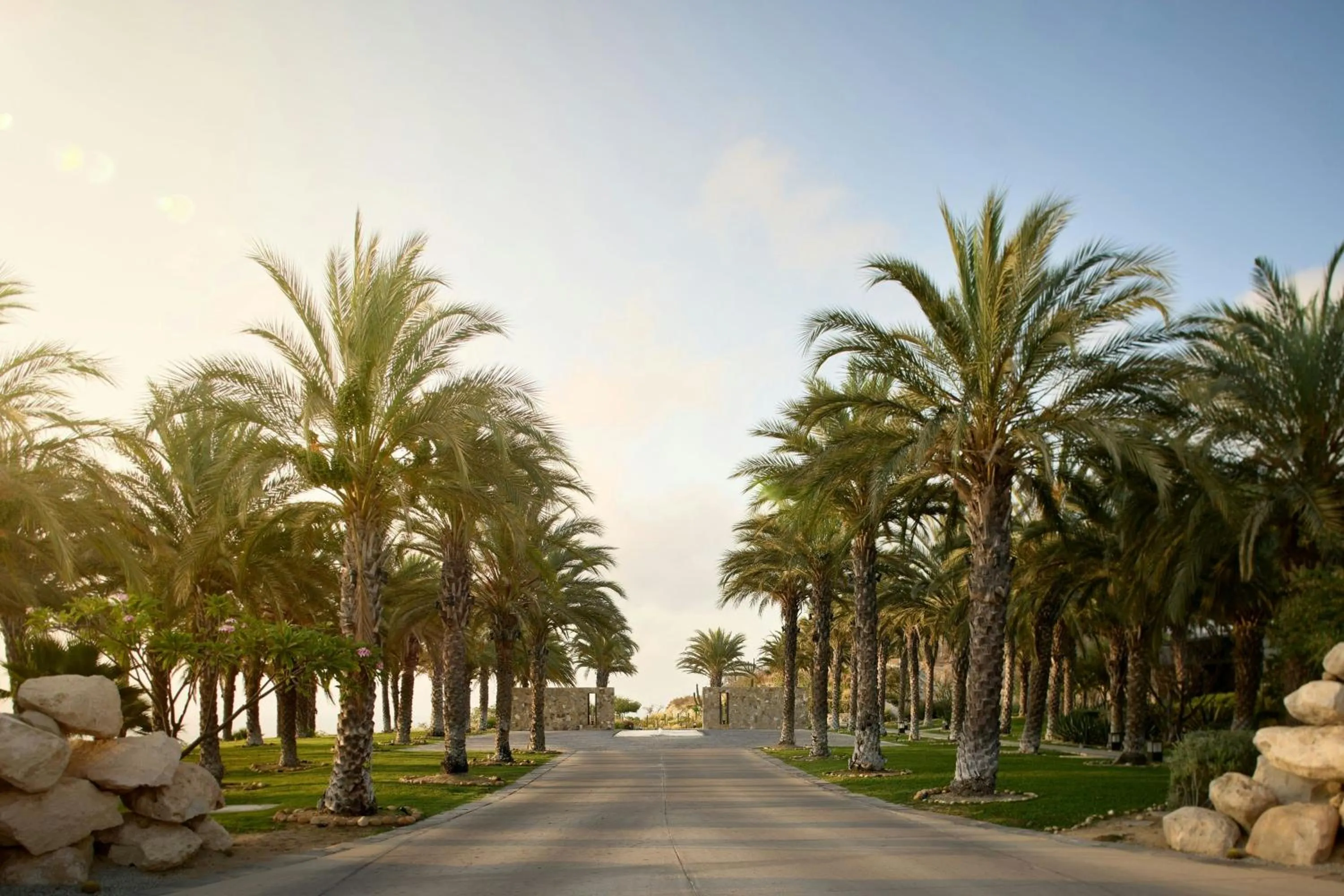 View (from property/room) in Zadun Los Cabos, a Ritz-Carlton Reserve