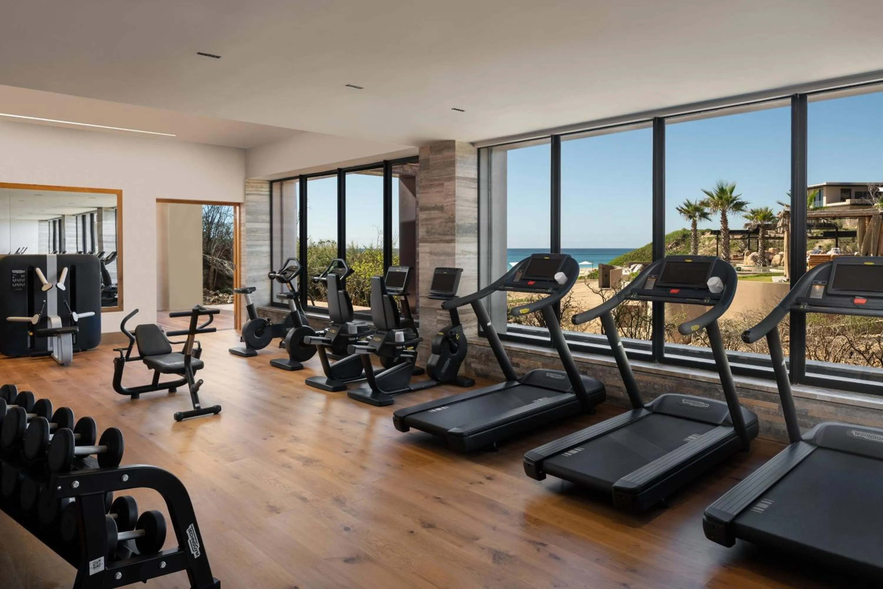 Fitness centre/facilities in Zadun Los Cabos, a Ritz-Carlton Reserve