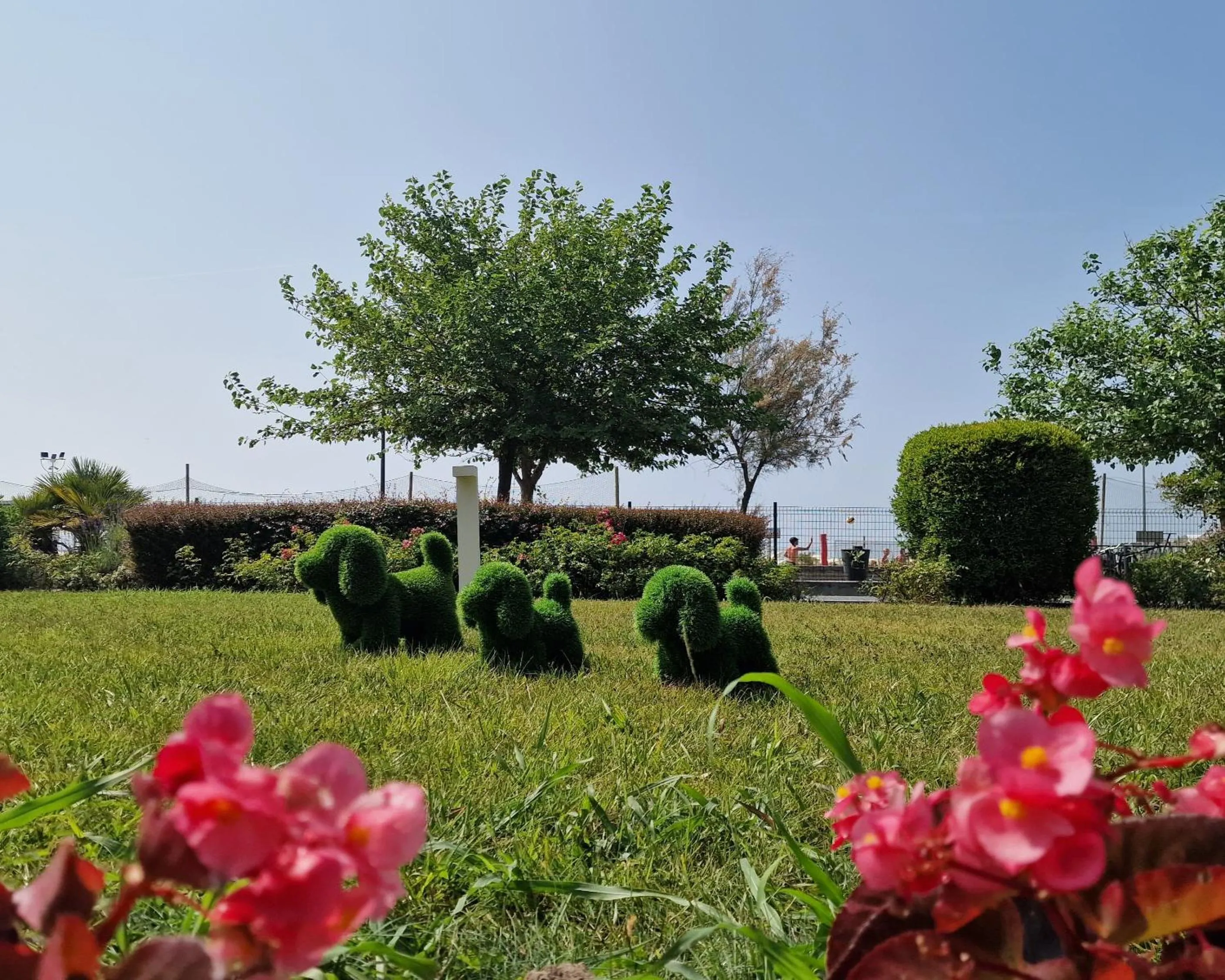 Garden in Ashanti Aparthotel Wellness&Spa