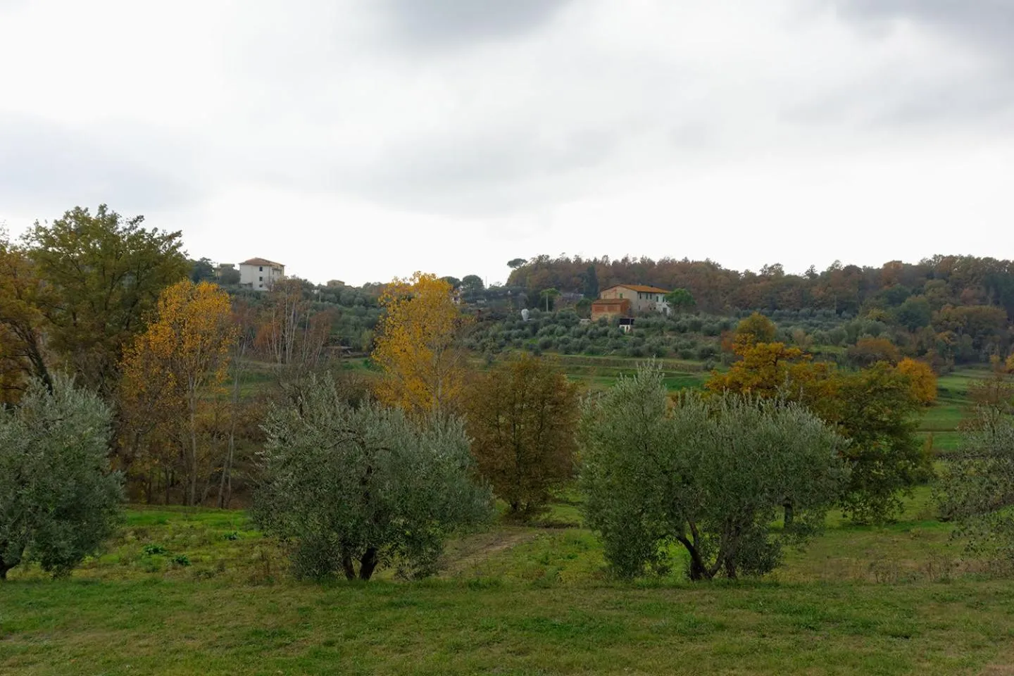 Neighbourhood in Bed & Breakfast Bel Giorgio