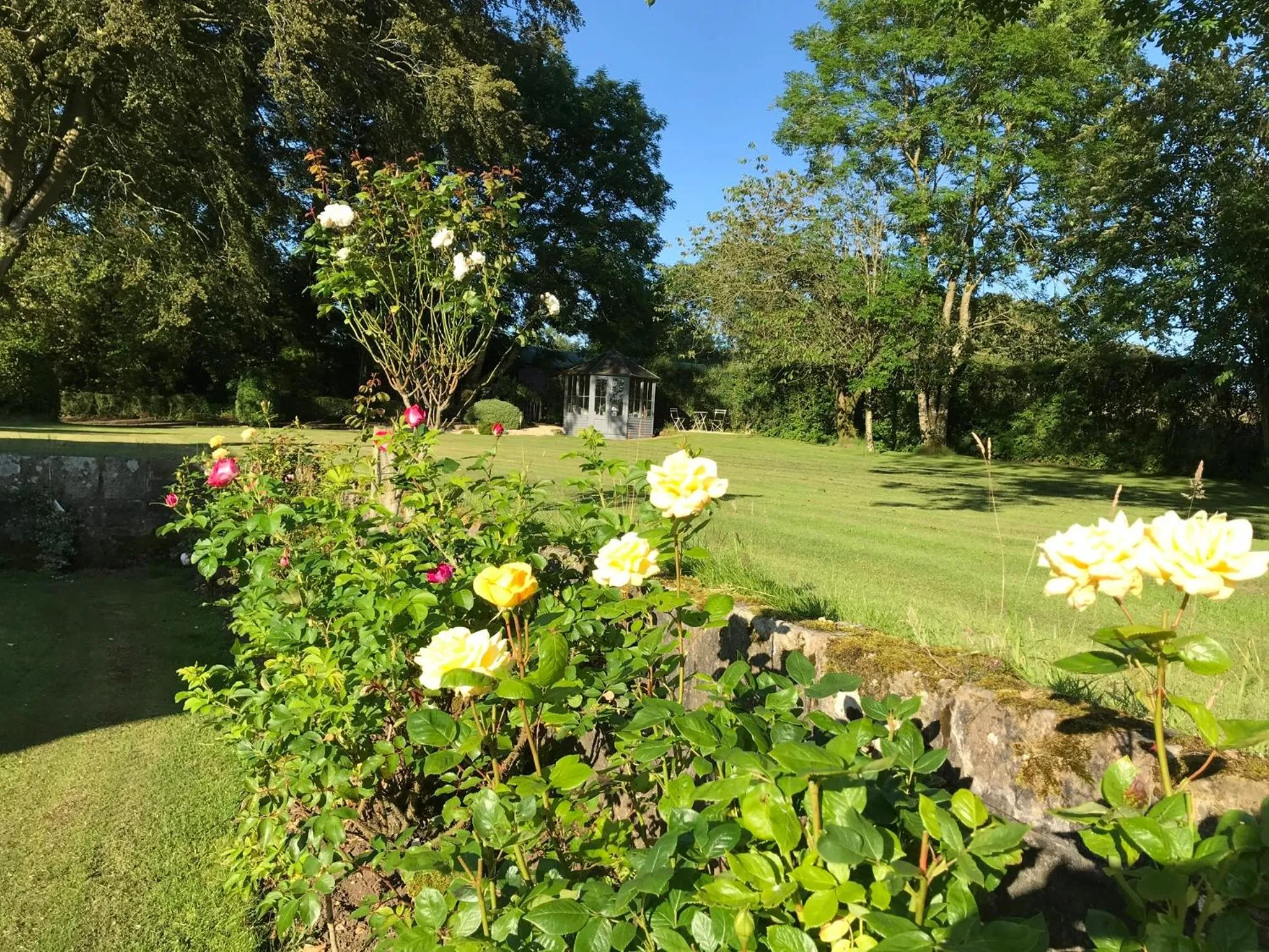 Garden in South Craighall B&B